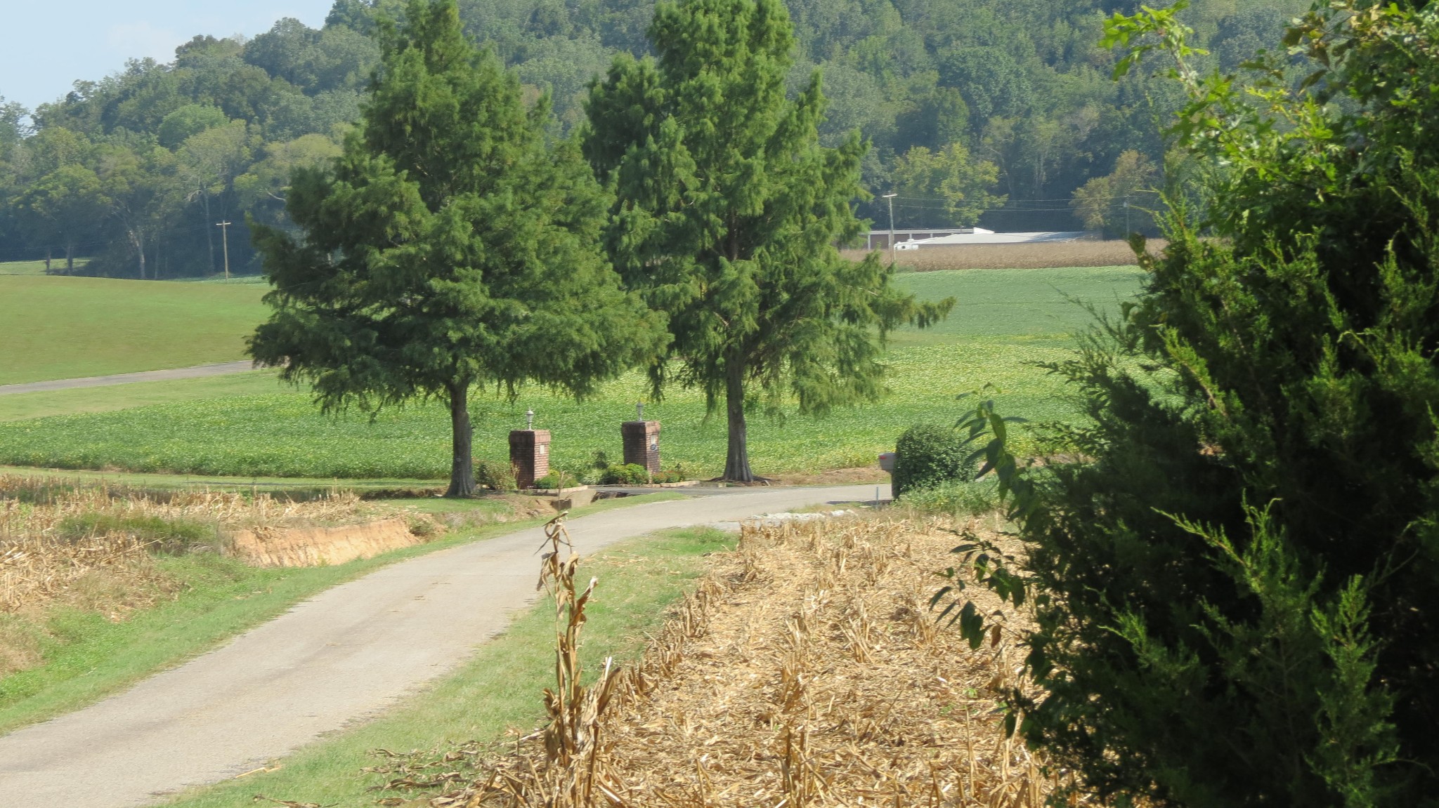 1318 Vise Loop Decaturville, TN 38329 - Photo 55 of 61 a view of a garden with a bench