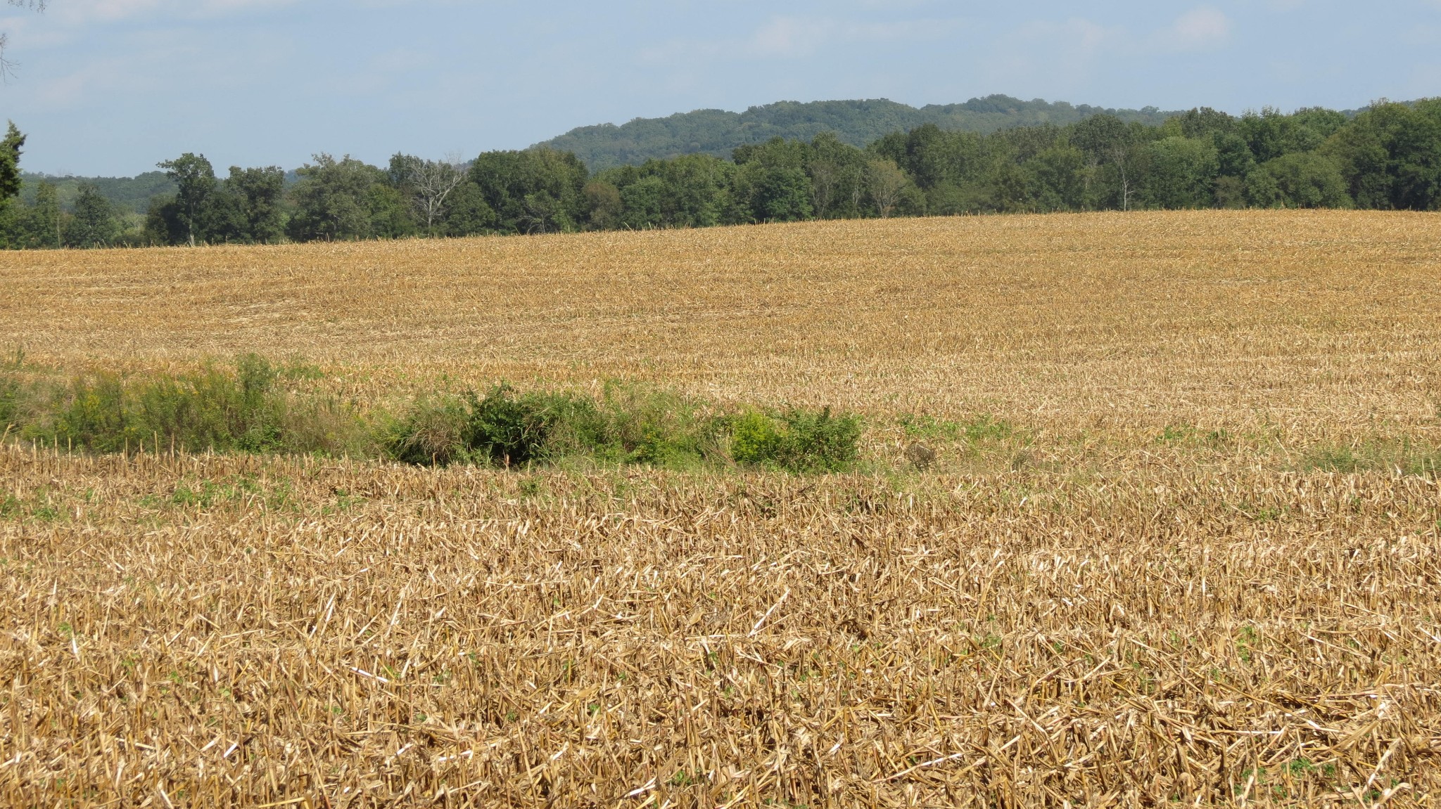 1318 Vise Loop Decaturville, TN 38329 - Photo 56 of 61 a view of lake and mountain