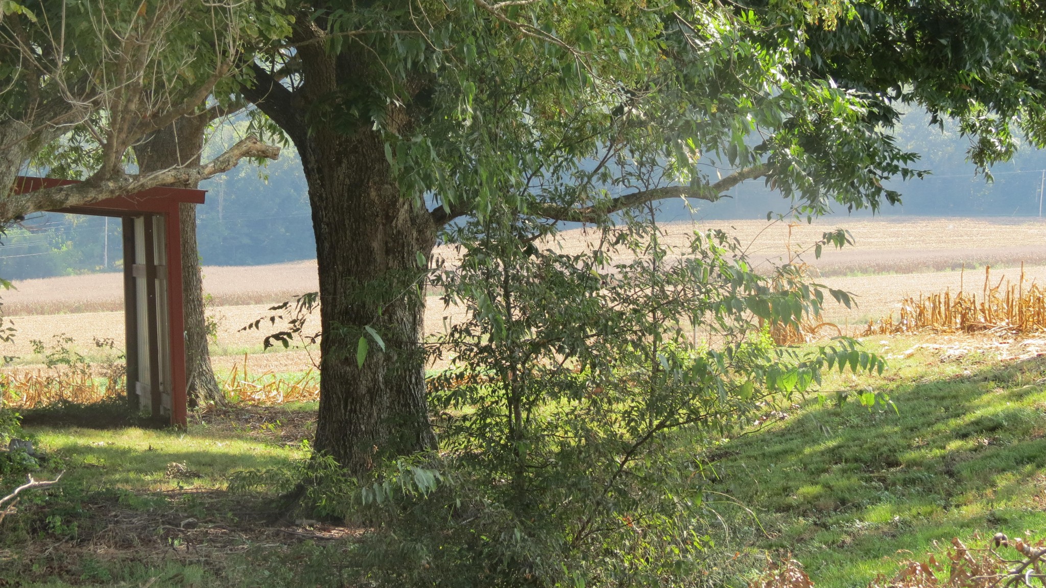 1318 Vise Loop Decaturville, TN 38329 - Photo 59 of 61