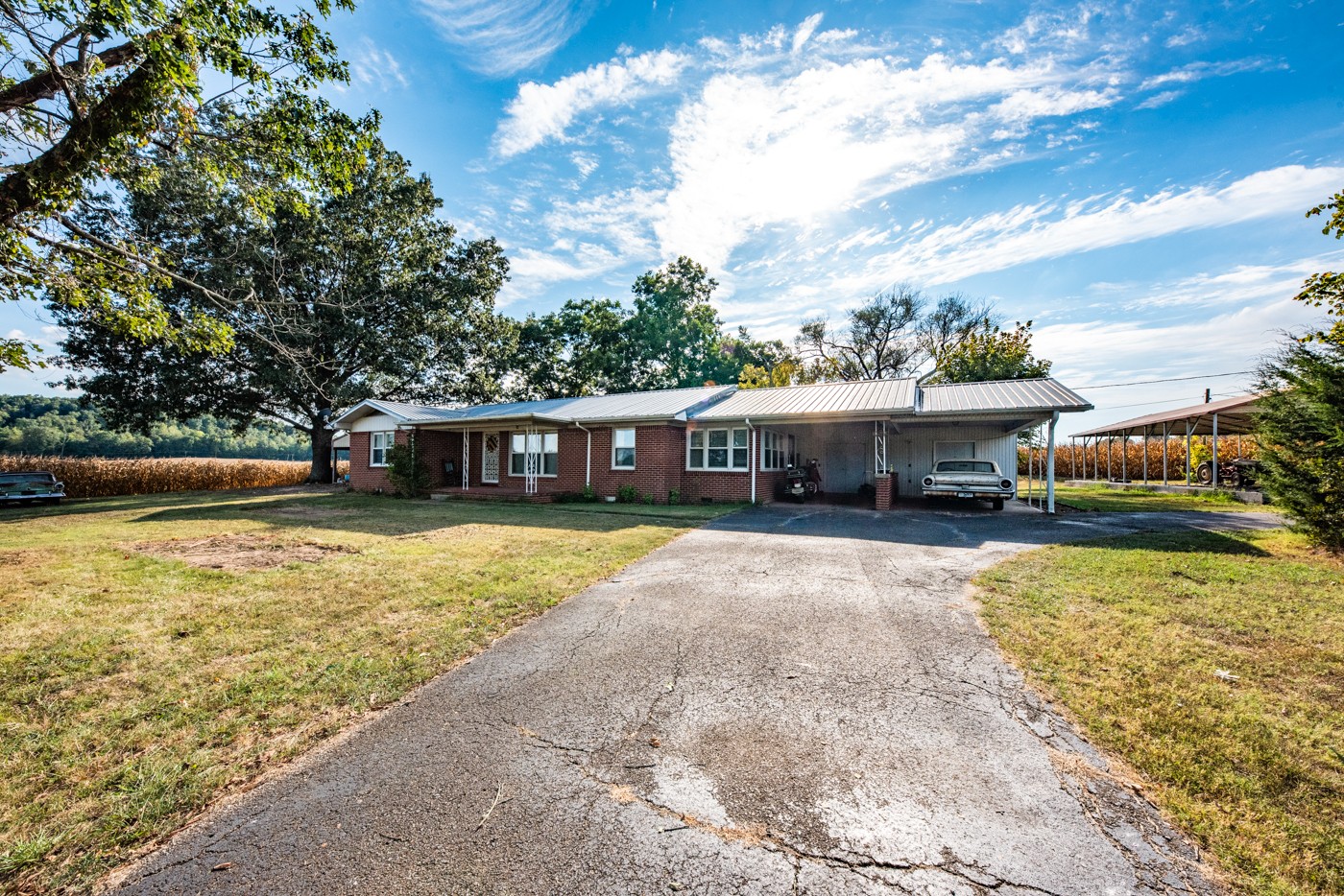 1318 Vise Loop Decaturville, TN 38329 - Photo 6 of 61 a front view of a house with a yard