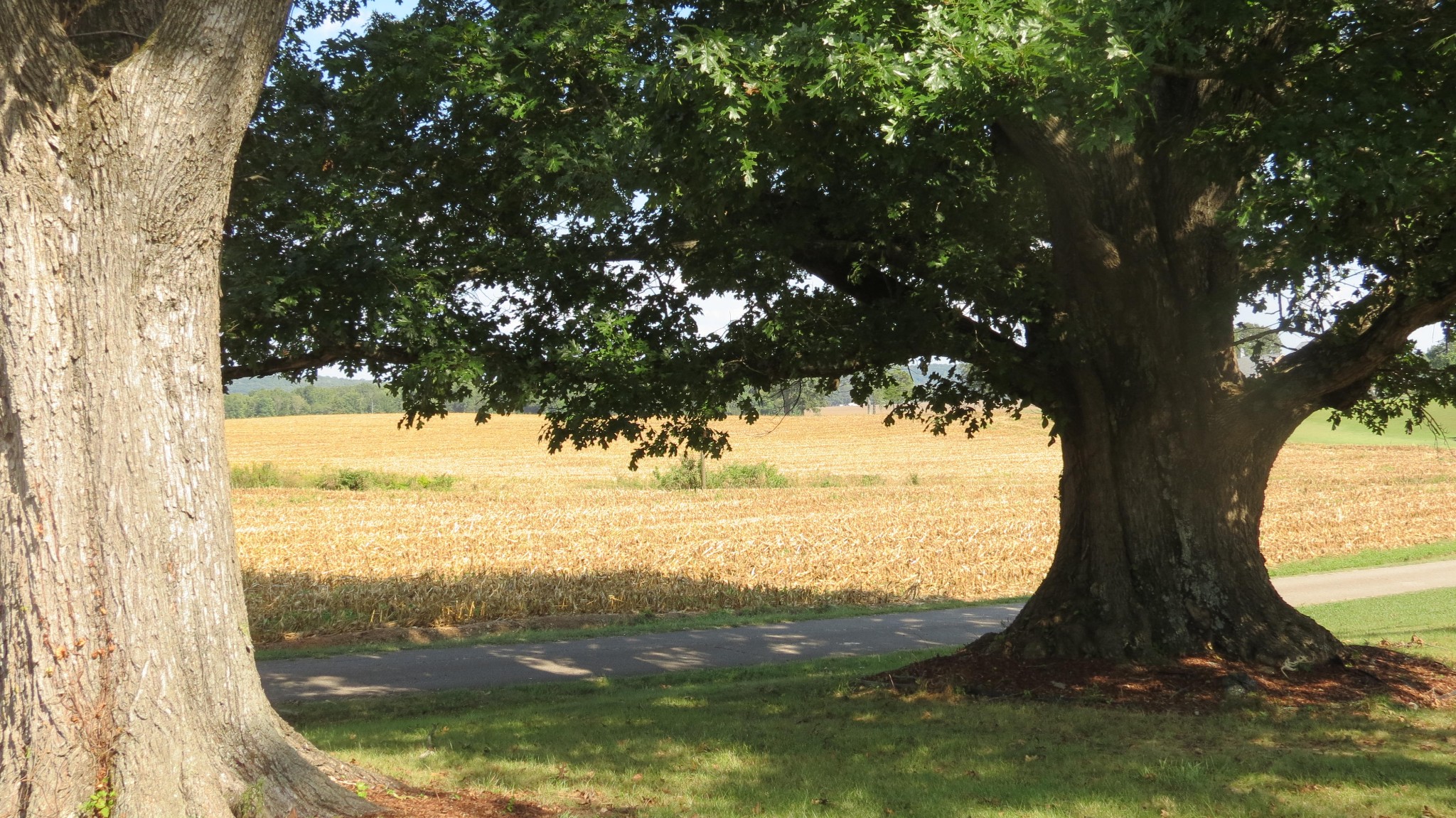 1318 Vise Loop Decaturville, TN 38329 - Photo 61 of 61 a view of mountain view with lake view