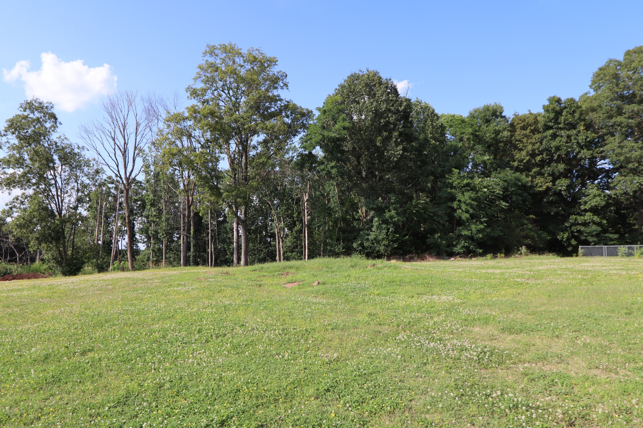 4126 Gourley Road Pegram, TN 37143 - Photo 35 of 40 Gallery Image 35