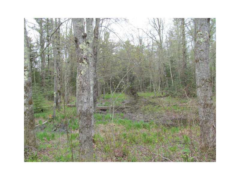 Lot 60 Chick Road Lebanon, ME 04027 - Photo 3 of 6 Land.