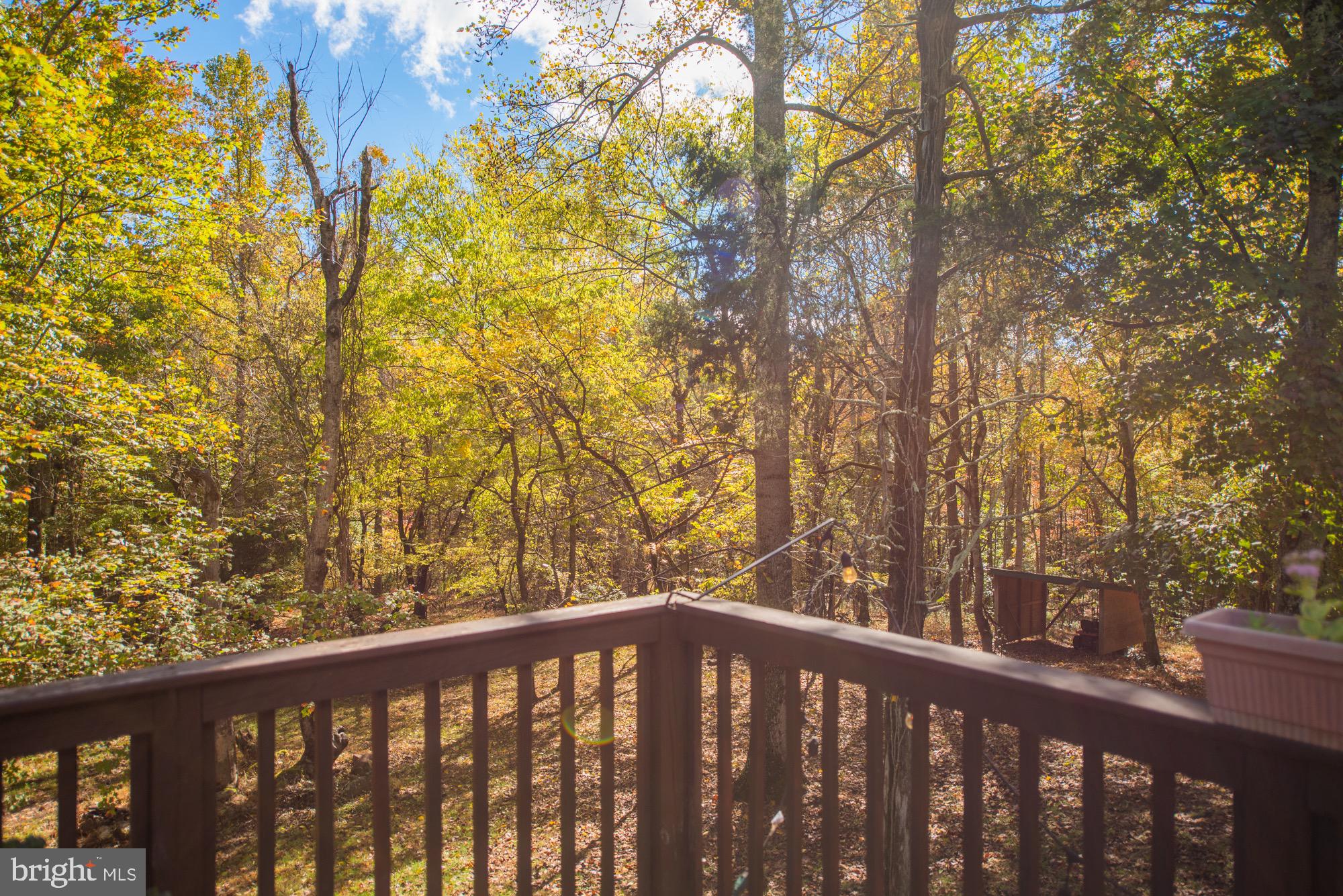5405 Turkey Ridge Road Gordonsville, VA 22942 - Photo 62 of 72 Gallery Image 62