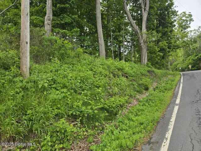 $20,000 | L4 Johnson Road, Glenville, NY 12302