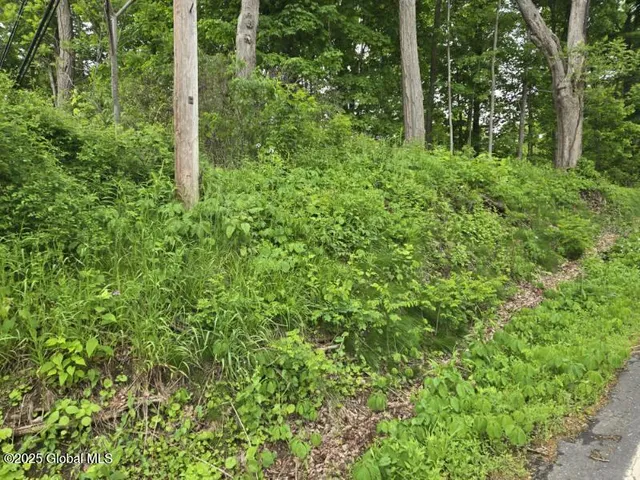 $20,000 | L4 Johnson Road, Glenville, NY 12302