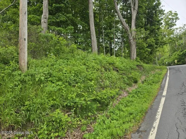 $20,000 | L4 Johnson Road, Glenville, NY 12302