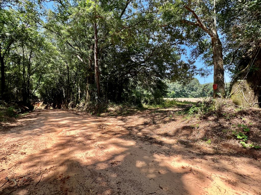 19-ac Ollie Pouncey Road Chancellor, AL 36316 - Photo 3 of 16