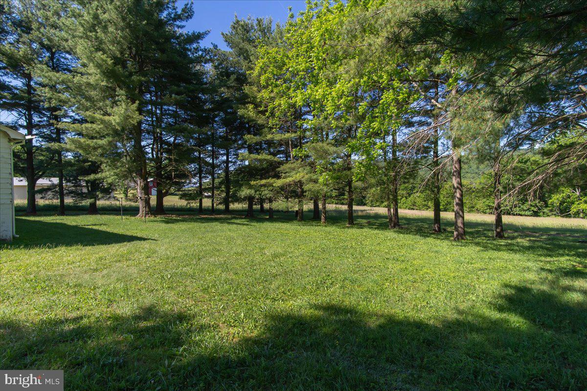 13806 Wolfsville Road Smithsburg, MD 21783 - Photo 27 of 35 a view of field with trees
