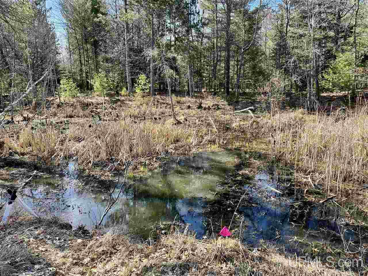 70 Old Highway 70 Road Minocqua, WI 54548 - Photo 9 of 11