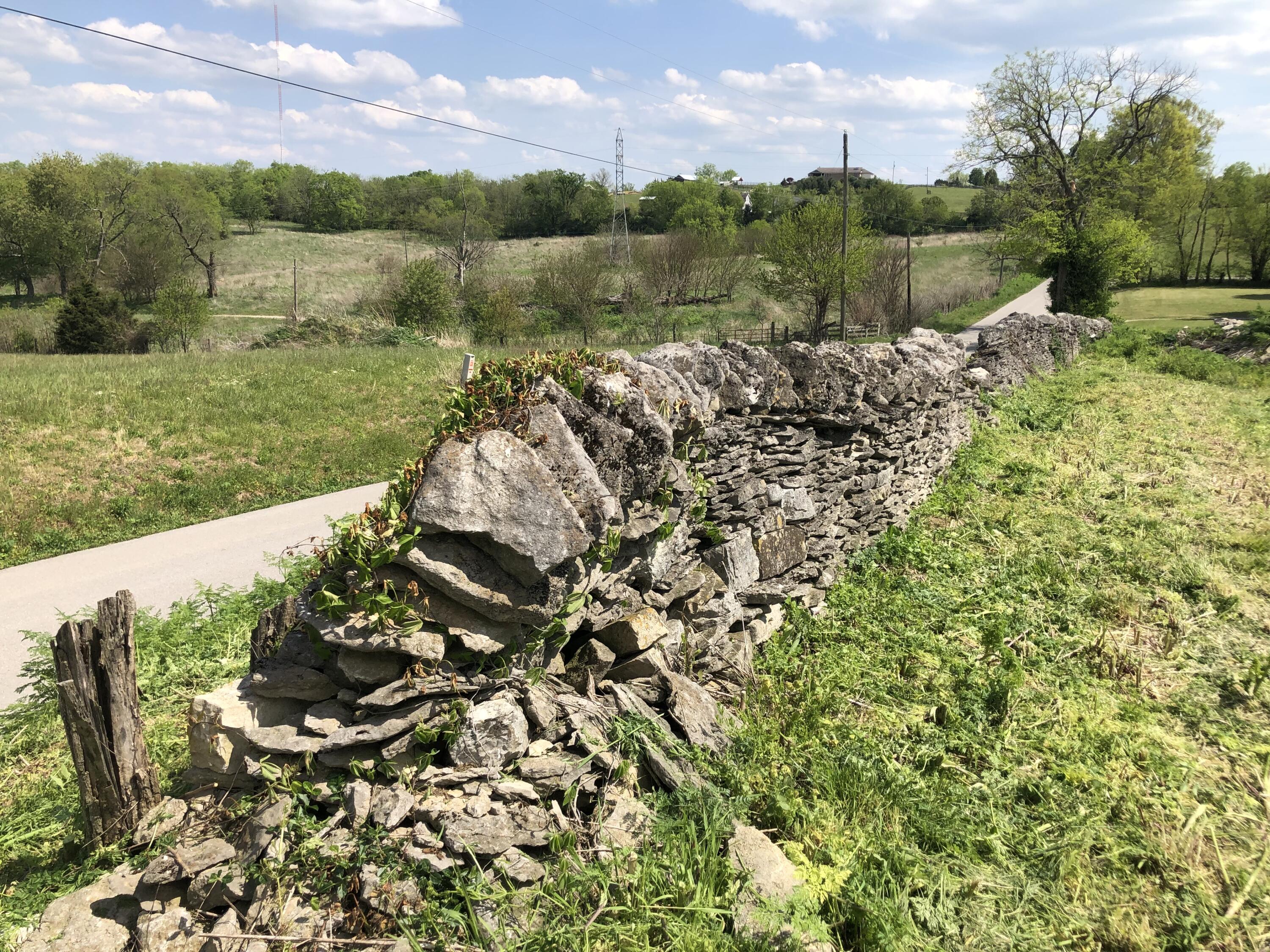 1875 Handys Bend Road Wilmore, KY 40390 - Photo 29 of 38 IMG-0634