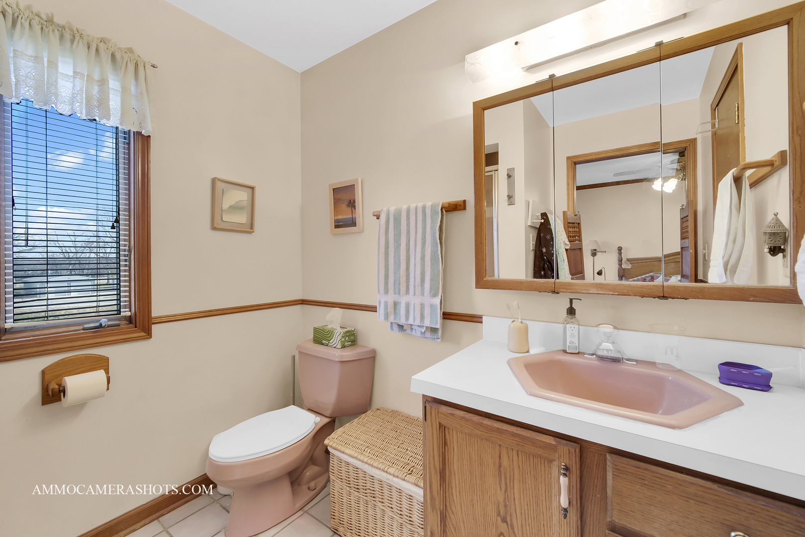 2020 Church Road Aurora, IL 60505 - Photo 33 of 37 a bathroom with a granite countertop sink mirror vanity and toilet