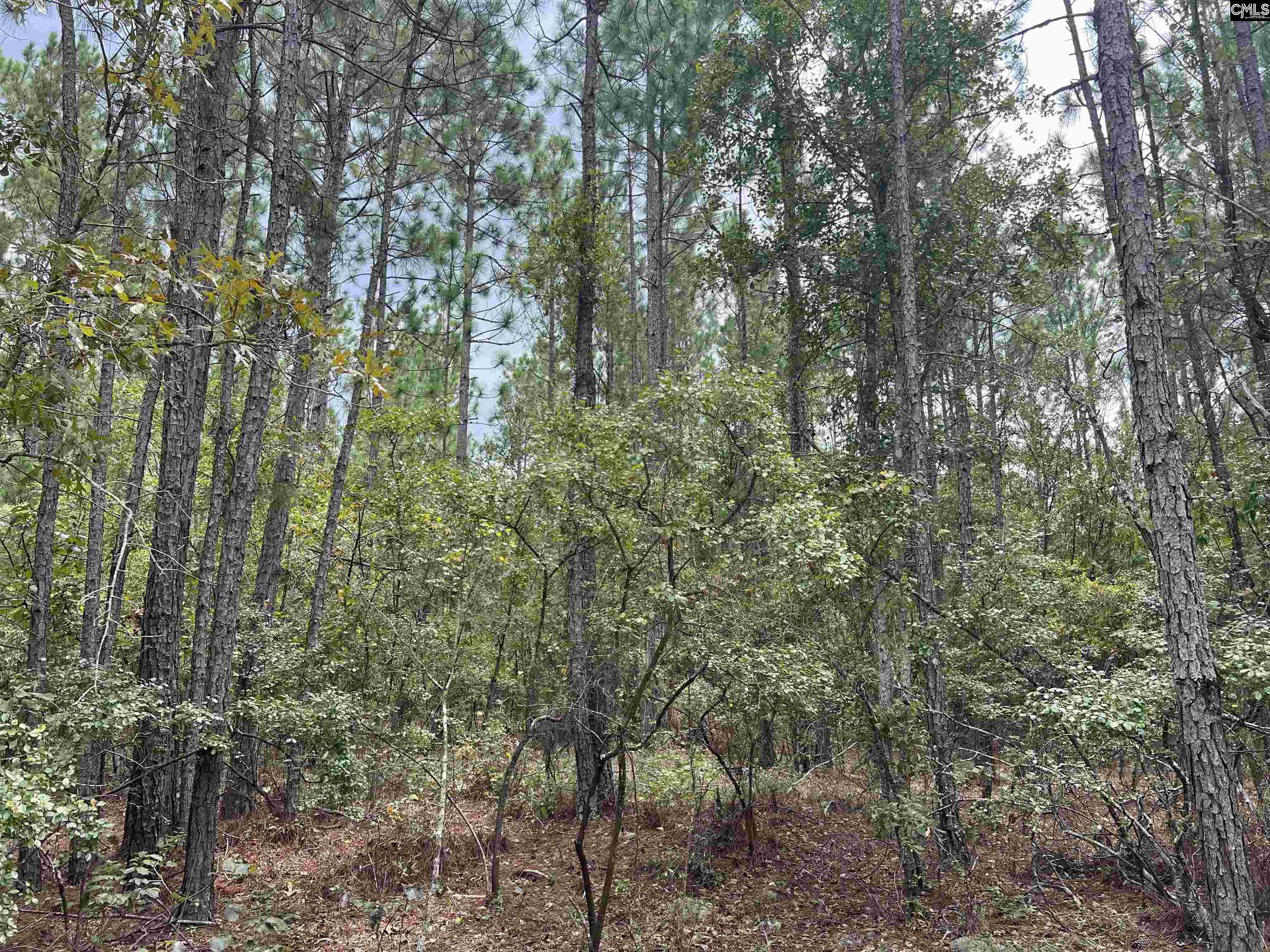 0 Cliff Road Pelion, SC 29123 - Photo 8 of 28
