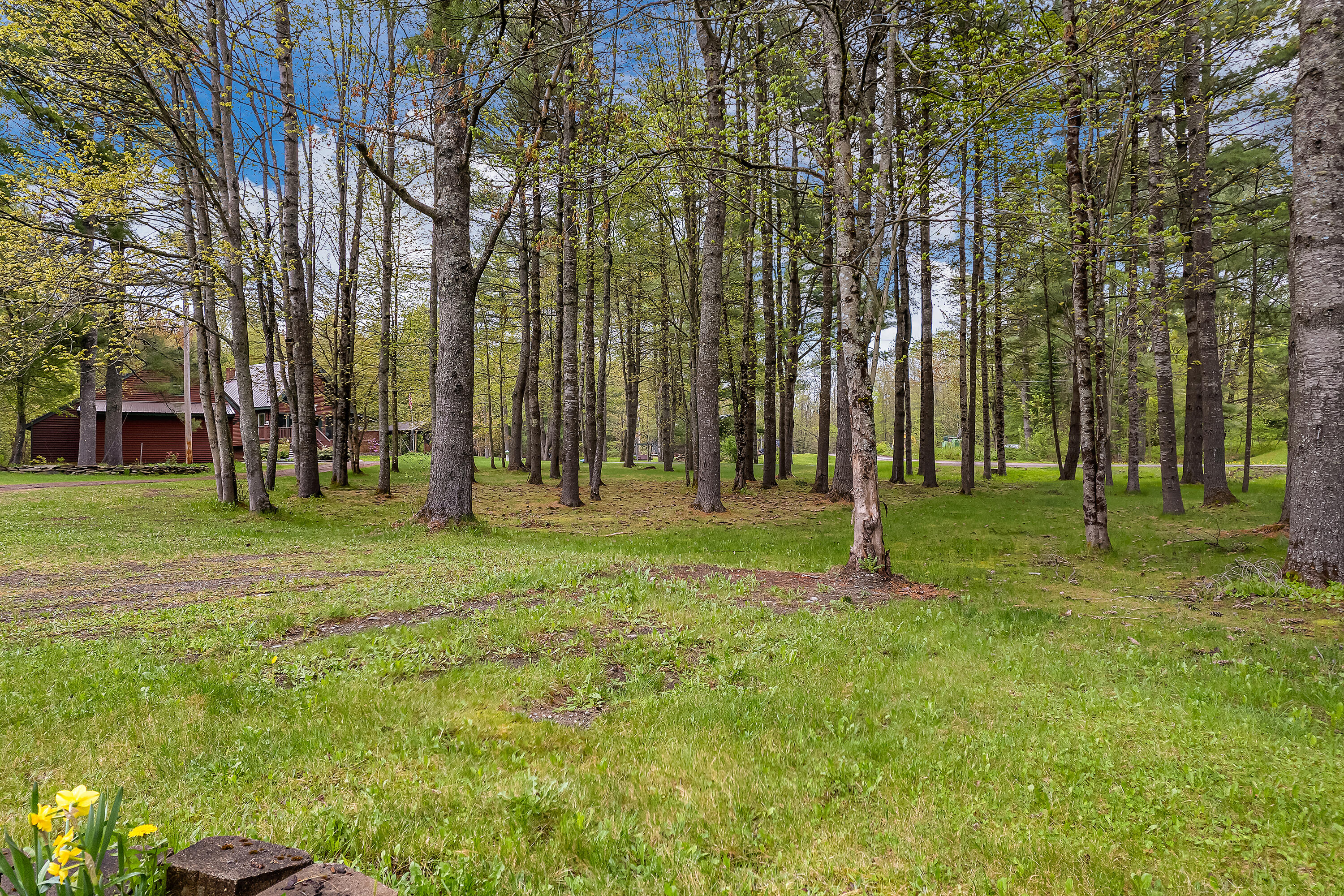 1850 Dexter Road Dover-Foxcroft, ME 04426 - Photo 37 of 43 photos_high_resolution_1850_Dexter_Rd_14