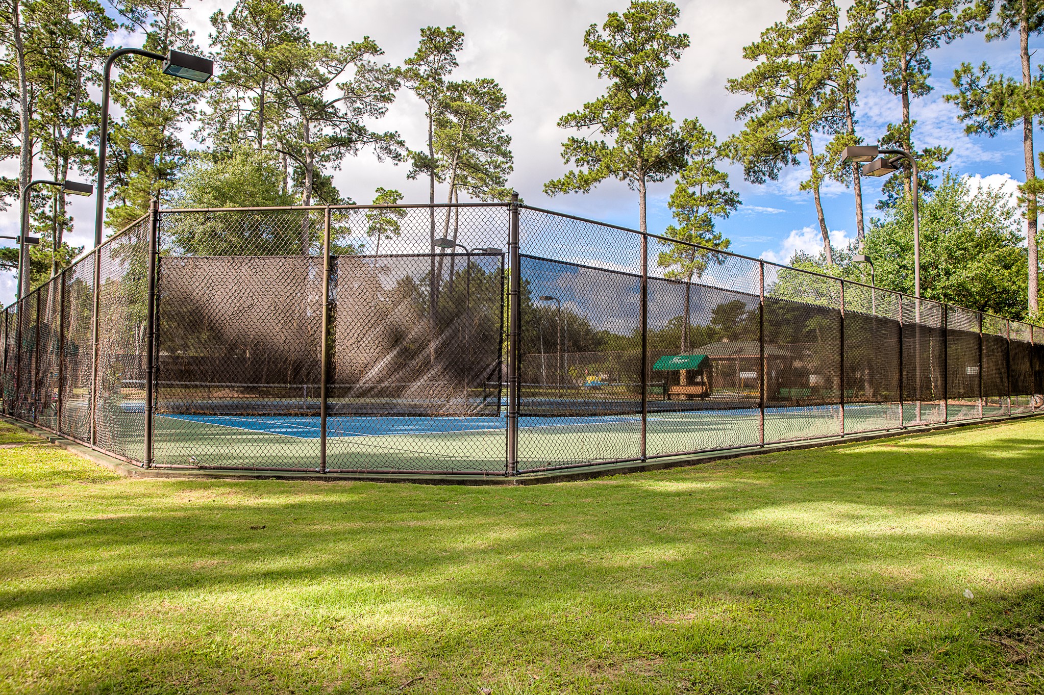 20014 Queens Oak Court Spring, TX 77379 - Photo 47 of 49 a view of a swimming pool with a yard