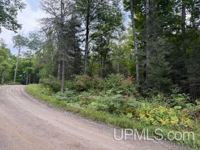 T-wi Loon Lake Road Florence, WI 54121 - Photo 24 of 27 Gallery Image 24
