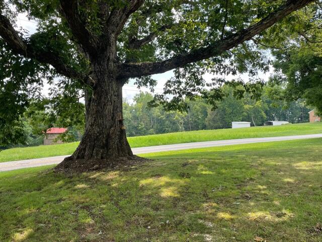 119 Robertson Ridge Road Axton, VA 24054 - Photo 21 of 25 a view of a garden with a tree