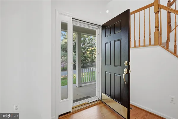 a view of a yard with plants and trees