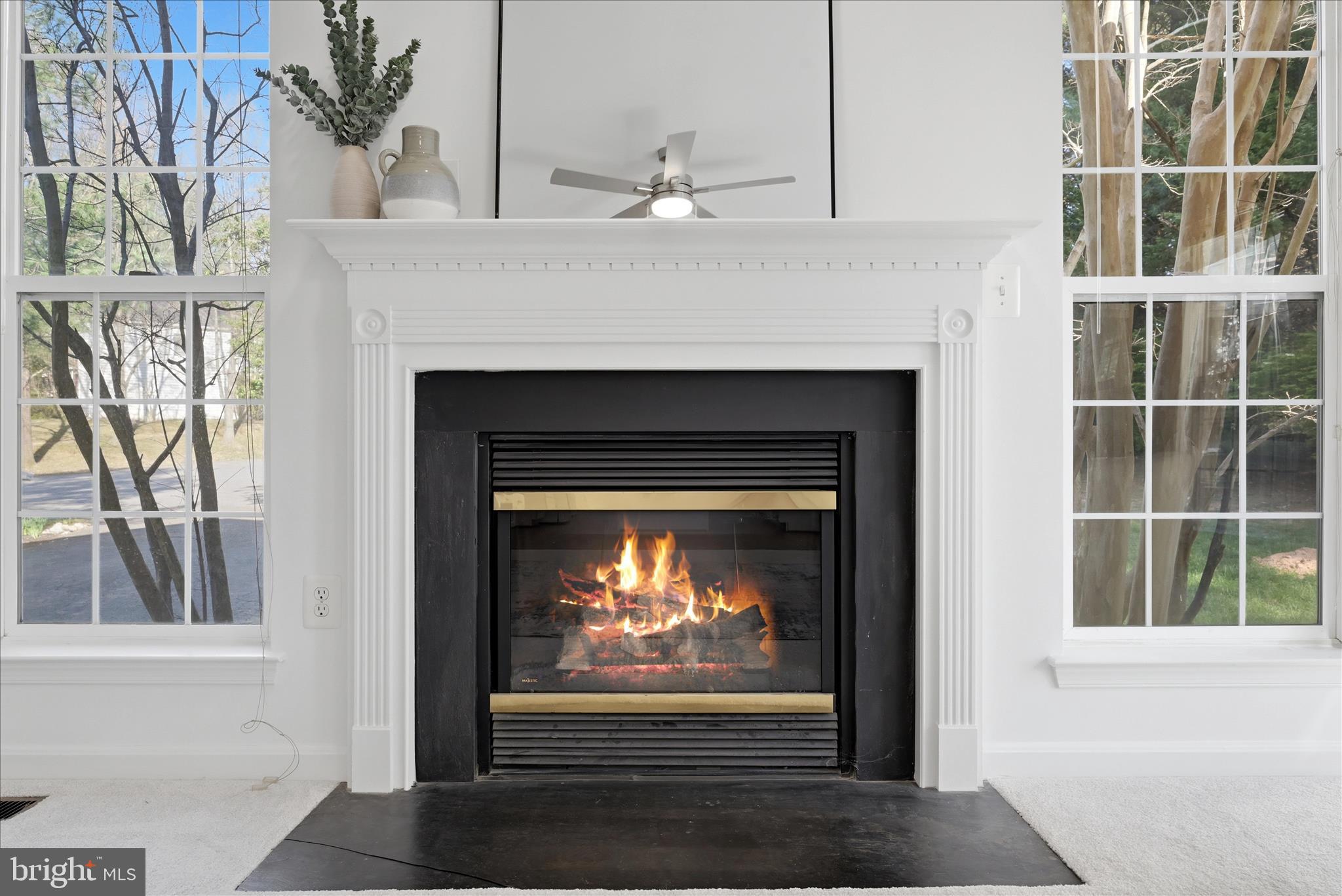 17550 Deavers Court Hamilton, VA 20158 - Photo 15 of 64 Fireplace