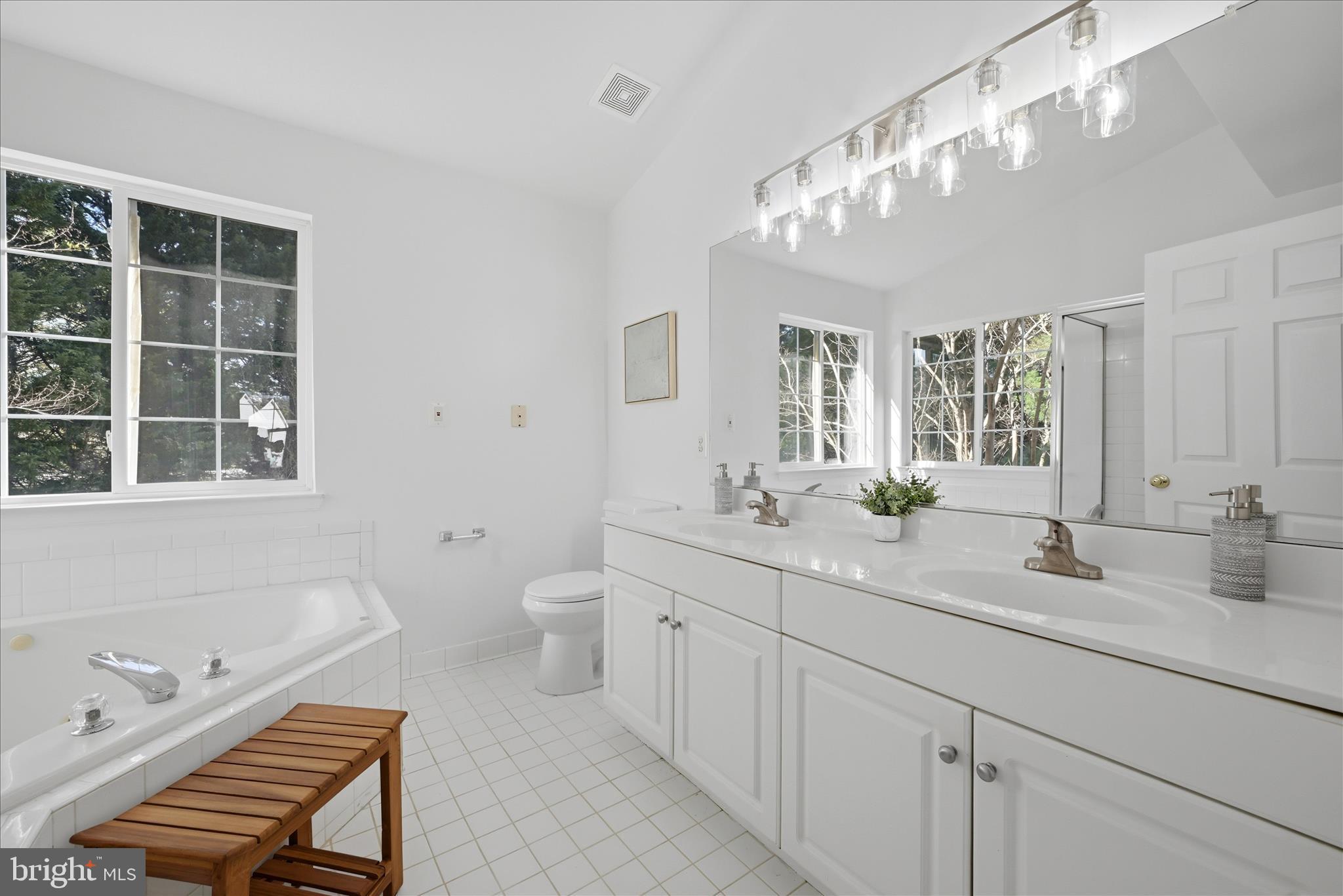 17550 Deavers Court Hamilton, VA 20158 - Photo 33 of 64 Primary Bathroom