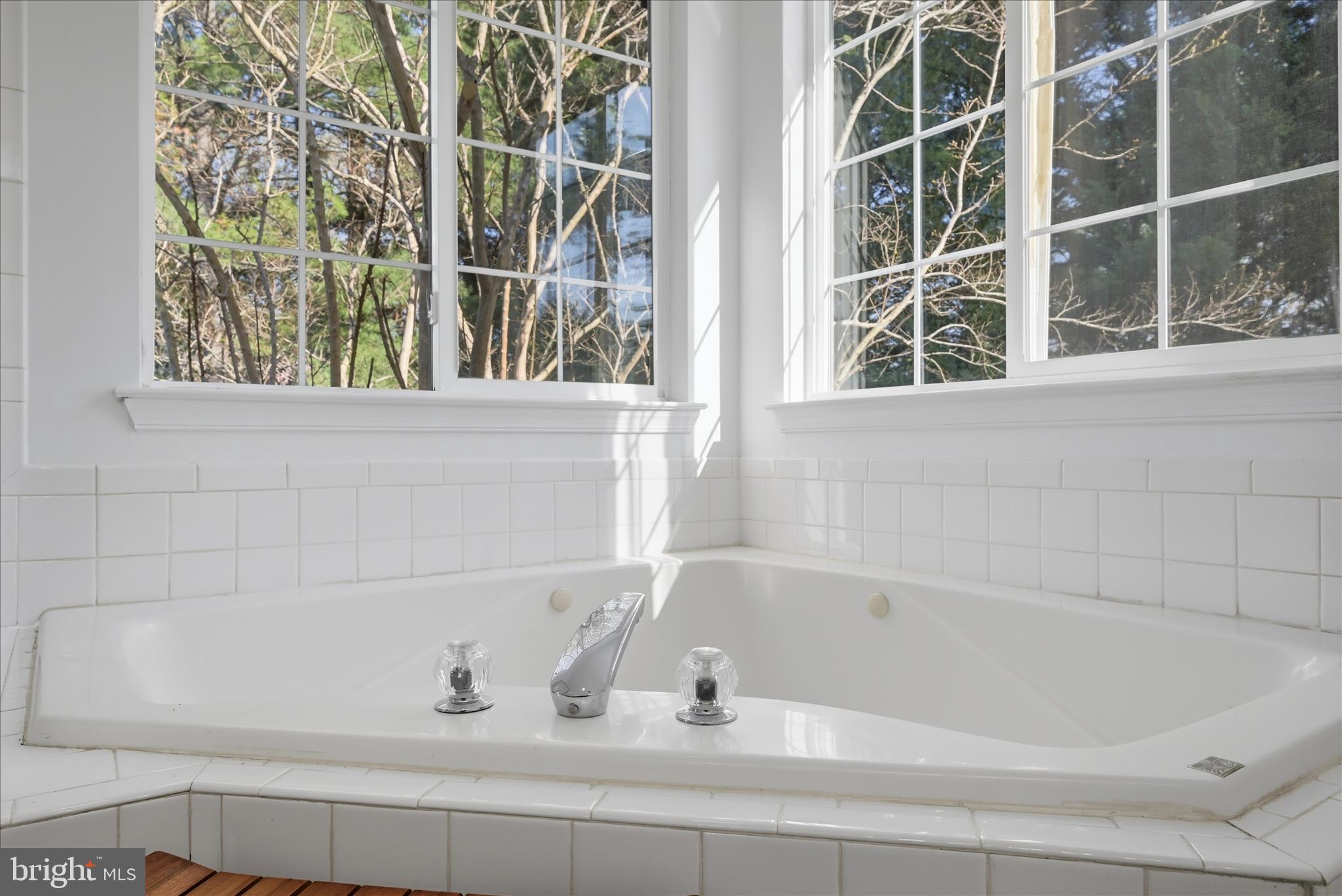 17550 Deavers Court Hamilton, VA 20158 - Photo 35 of 64 Primary Bathroom