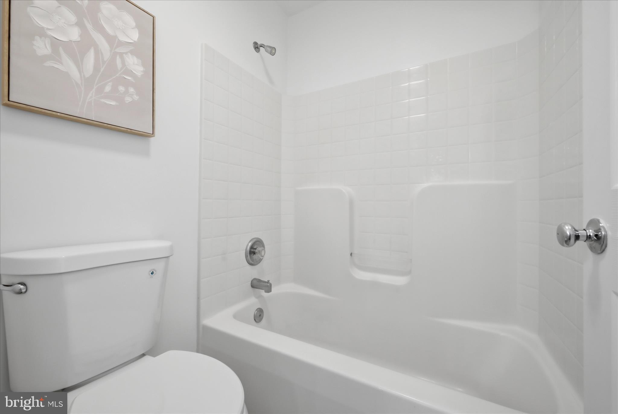 17550 Deavers Court Hamilton, VA 20158 - Photo 39 of 64 Hall Bathroom