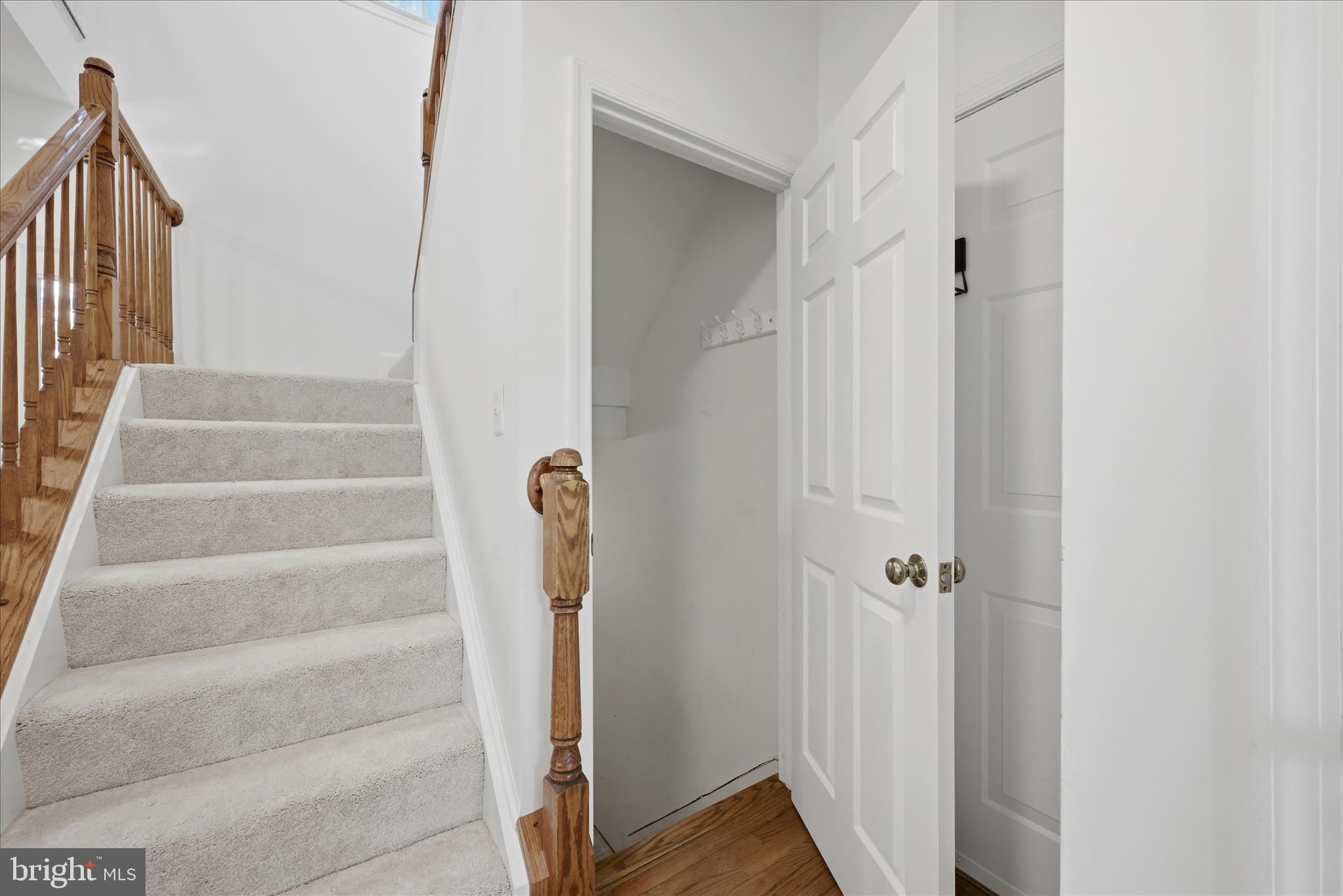 17550 Deavers Court Hamilton, VA 20158 - Photo 45 of 64 Lower Level Access