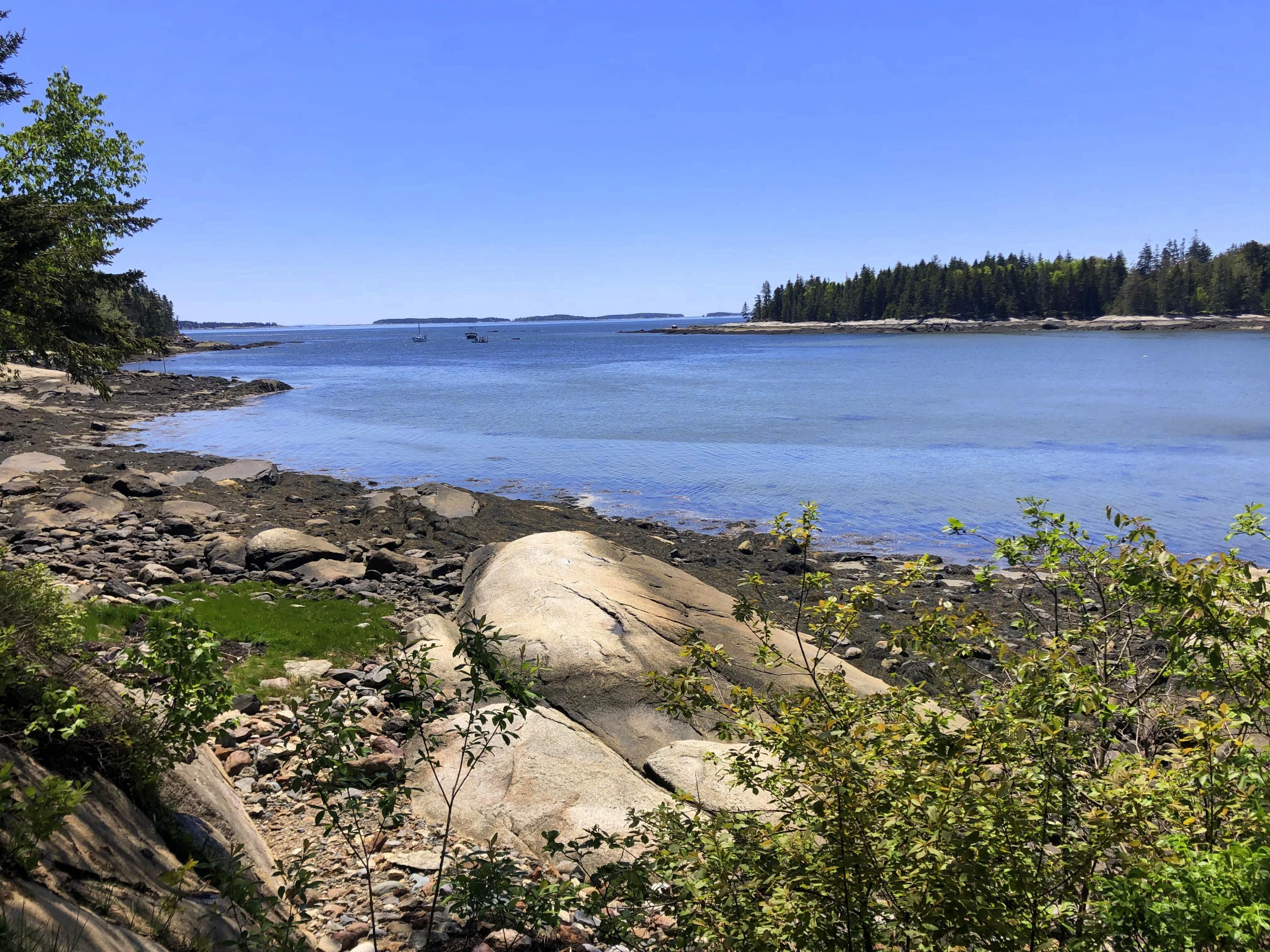 18 Dyer Point Road Owls Head, ME 04854 - Photo 24 of 26 Dyer 4