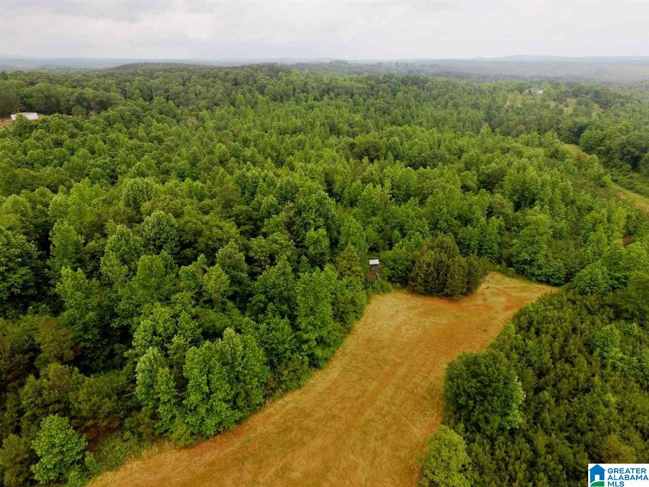 261 County Road, Unit 32 Lineville, AL 36266 - Photo 4 of 8