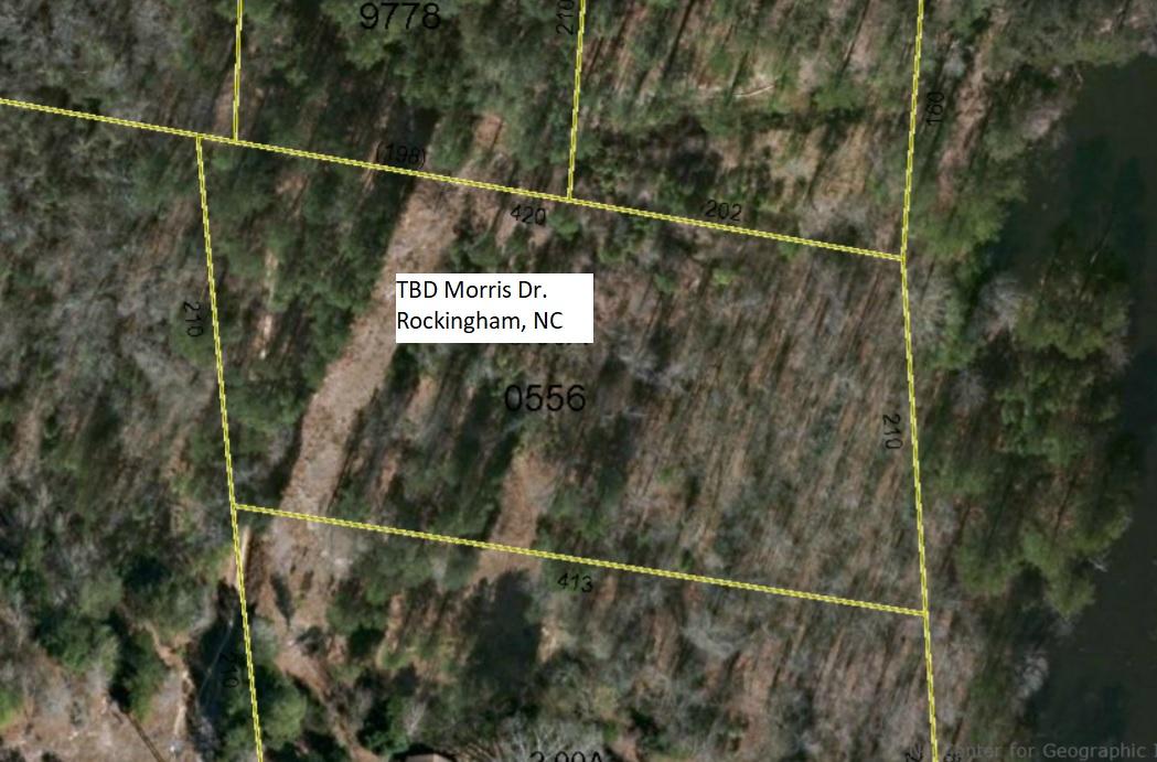 Tbd Morris Drive Rockingham, NC 28379 - Photo 1 of 1 Street View