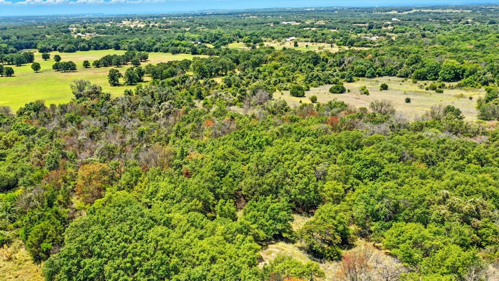 395 Pepper Lane Weatherford, TX 76088 - Photo 13 of 24 Drone / aerial view of a forest