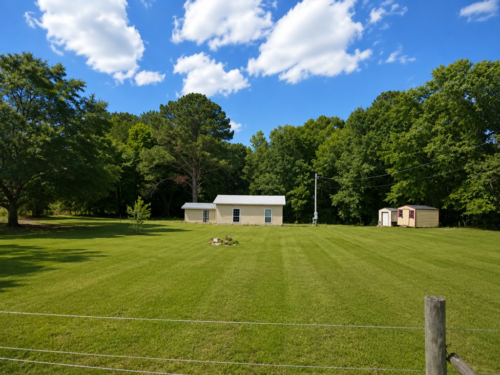 24711 Indian Creek Road Opp, AL 36467 - Photo 3 of 11