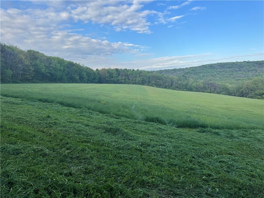0 Grove Road Stoystown, PA 15563 - Photo 23 of 34