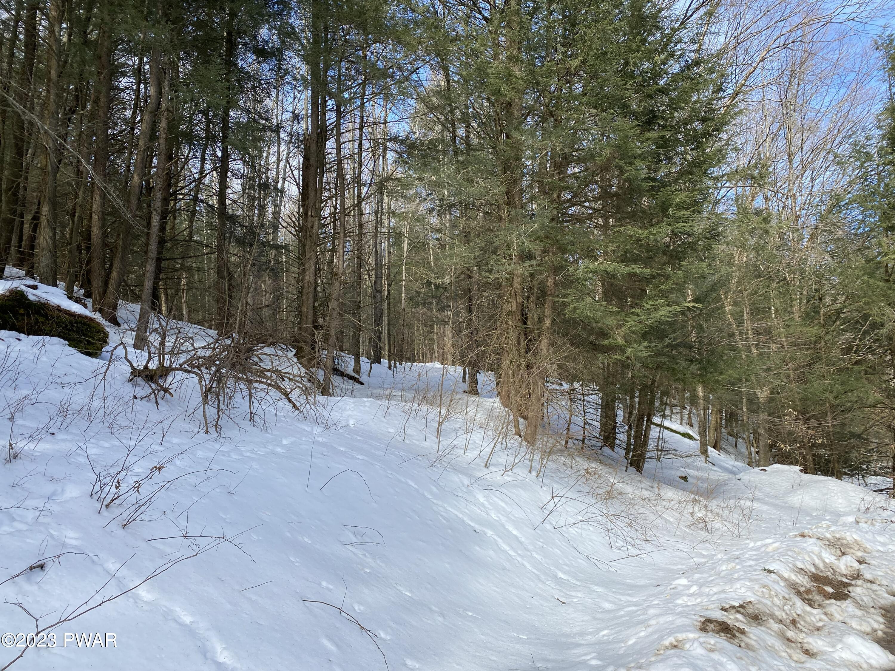 Hatchery Road Union Dale, PA 18470 - Photo 8 of 10