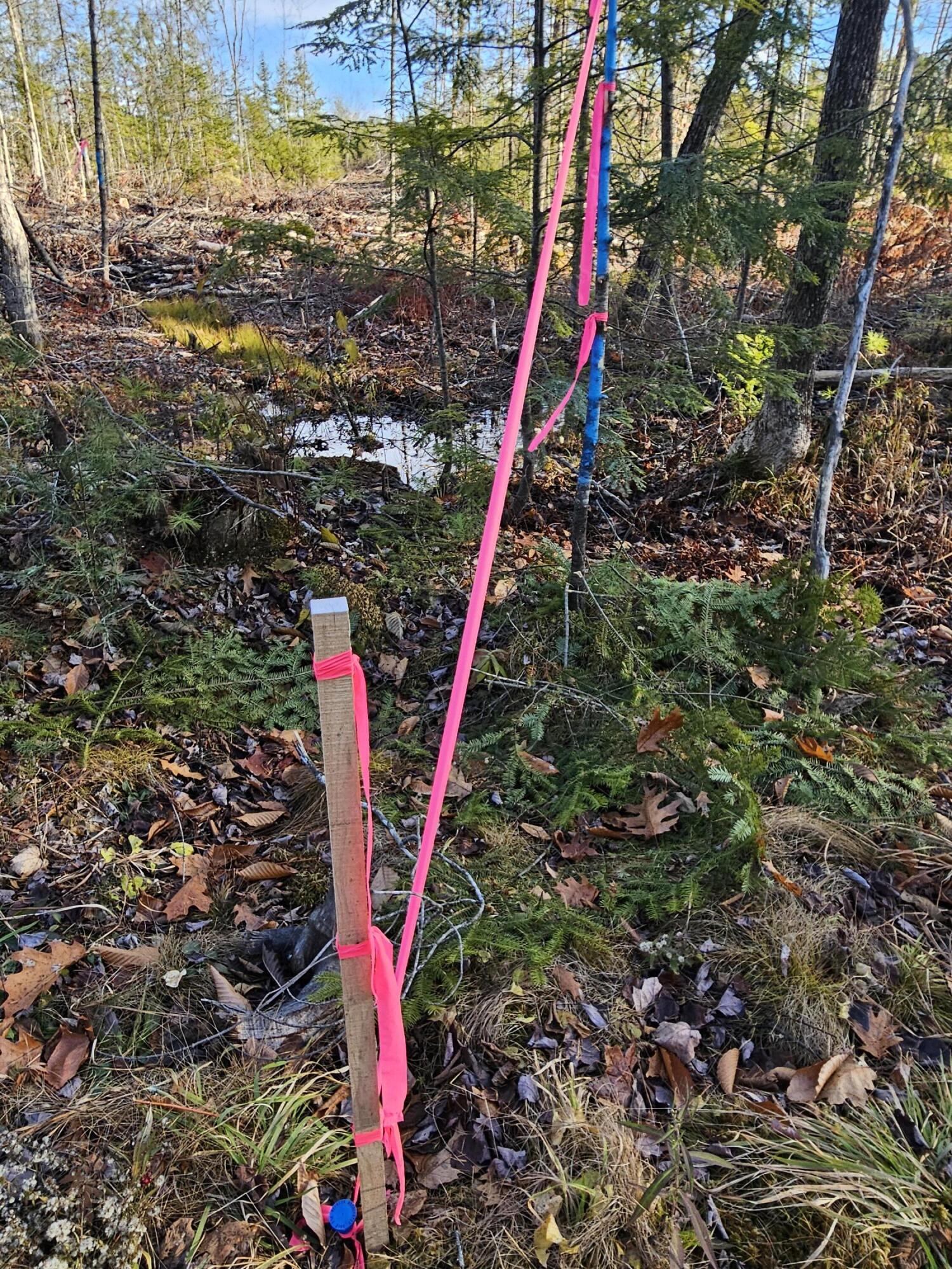 33 Cape Cod Hill Road New Sharon, ME 04955 - Photo 12 of 14 20251112_132350