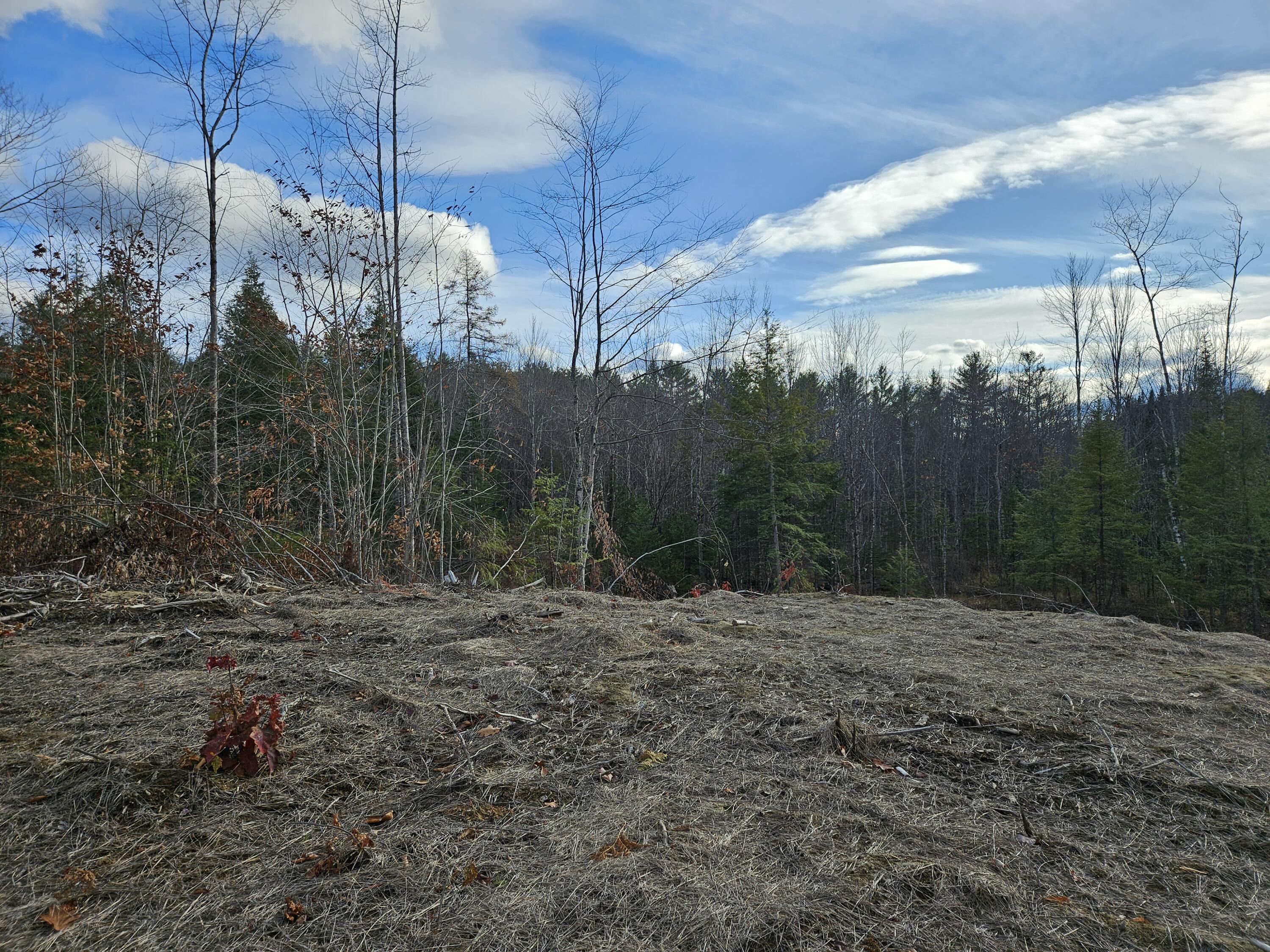 33 Cape Cod Hill Road New Sharon, ME 04955 - Photo 5 of 14 20251112_133744