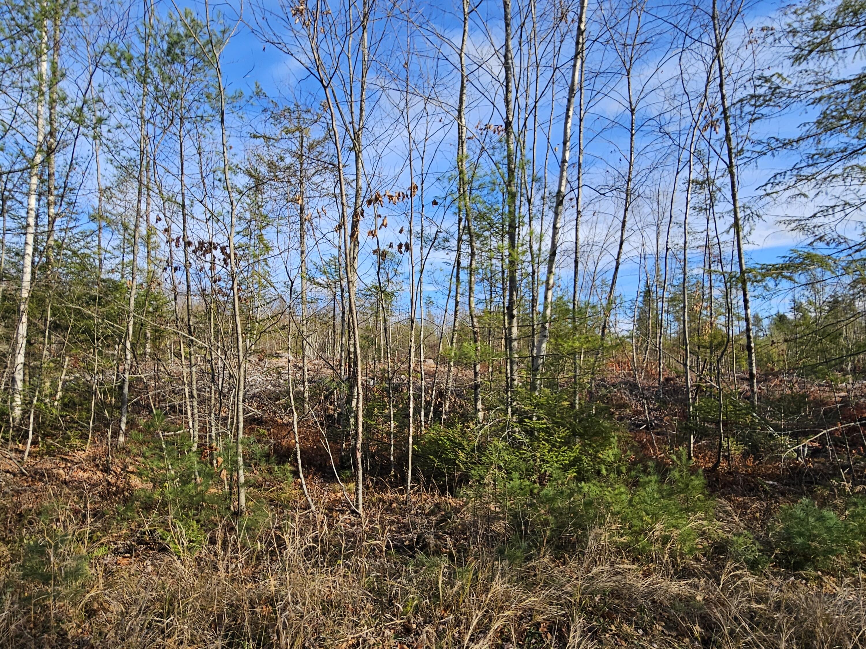 33 Cape Cod Hill Road New Sharon, ME 04955 - Photo 8 of 14 20251112_132241