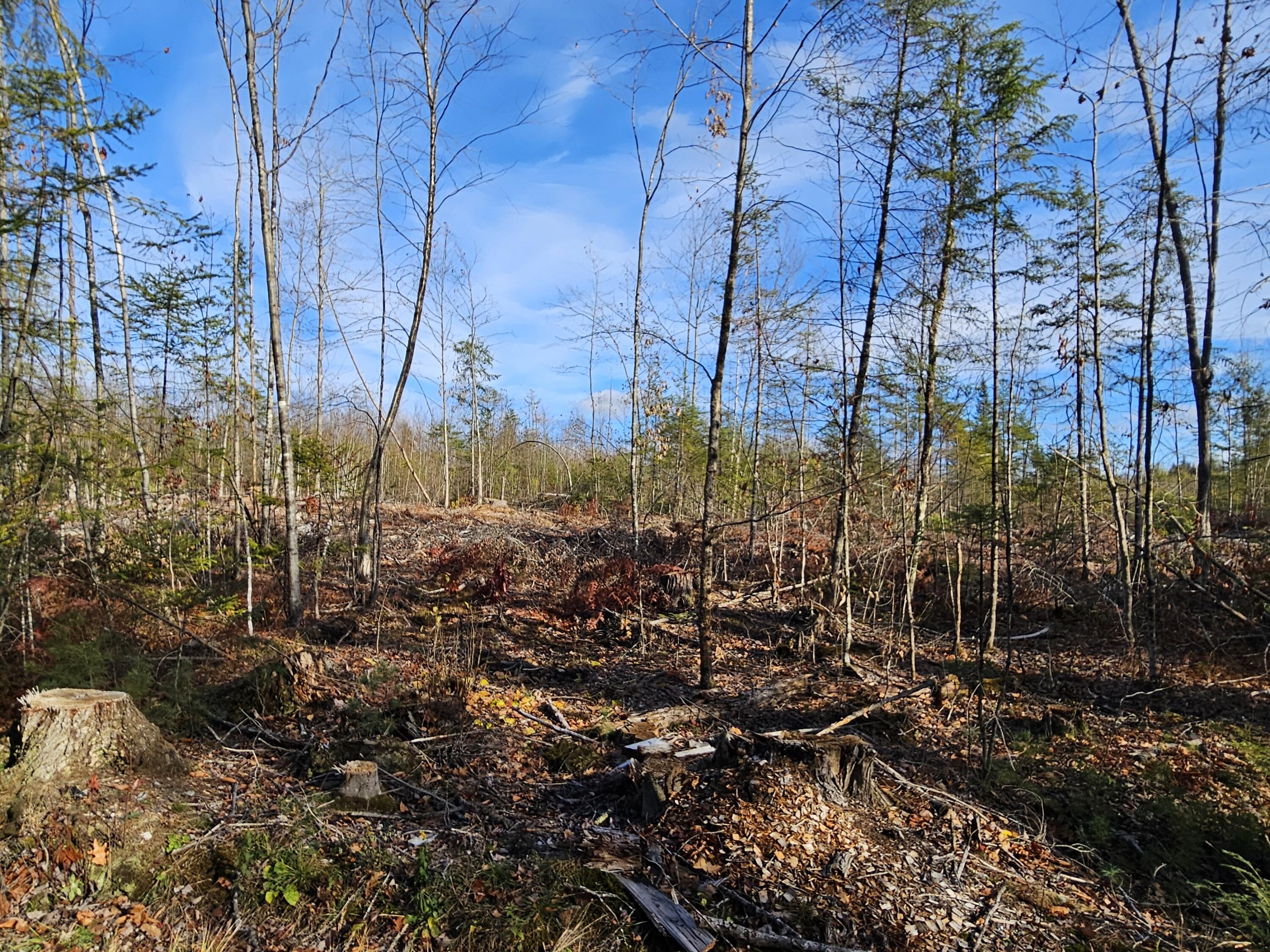 33 Cape Cod Hill Road New Sharon, ME 04955 - Photo 9 of 14 20251112_132256
