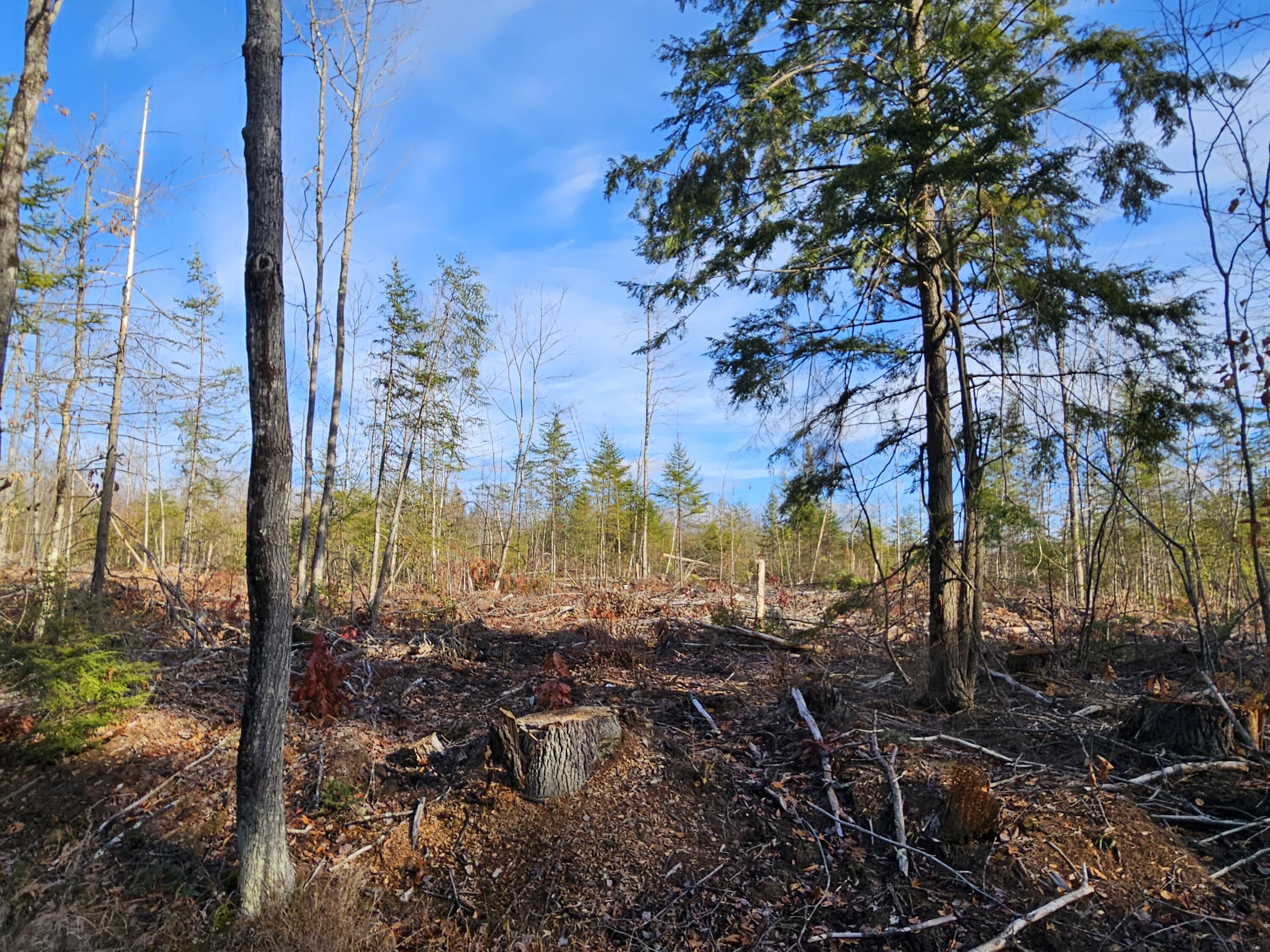 33 Cape Cod Hill Road New Sharon, ME 04955 - Photo 10 of 14 20251112_132315