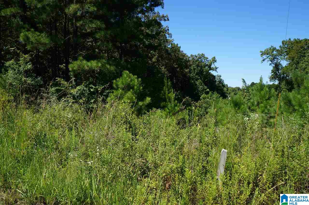 190 Castaway Road, Unit LOT 190 Sylacauga, AL 35151 - Photo 2 of 6