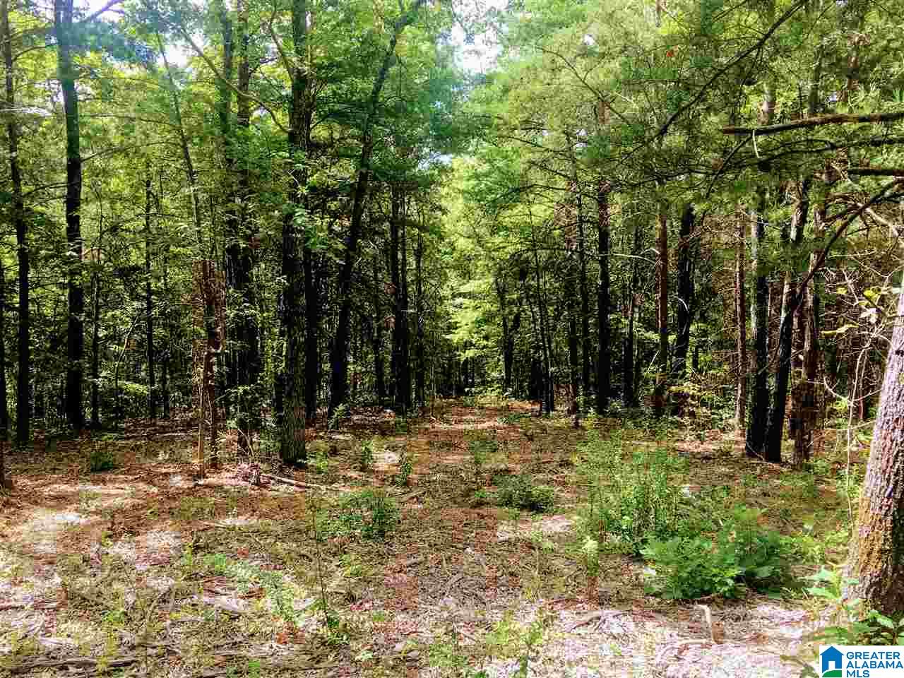 2565 Kentuck Road, Unit 4569 Oxford, AL 36203 - Photo 21 of 46