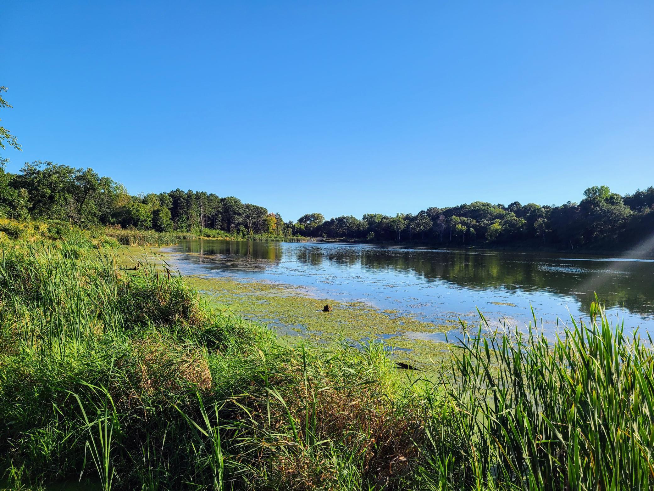 9820 Upper 89th Street South Cottage Grove, MN 55016 - Photo 22 of 42