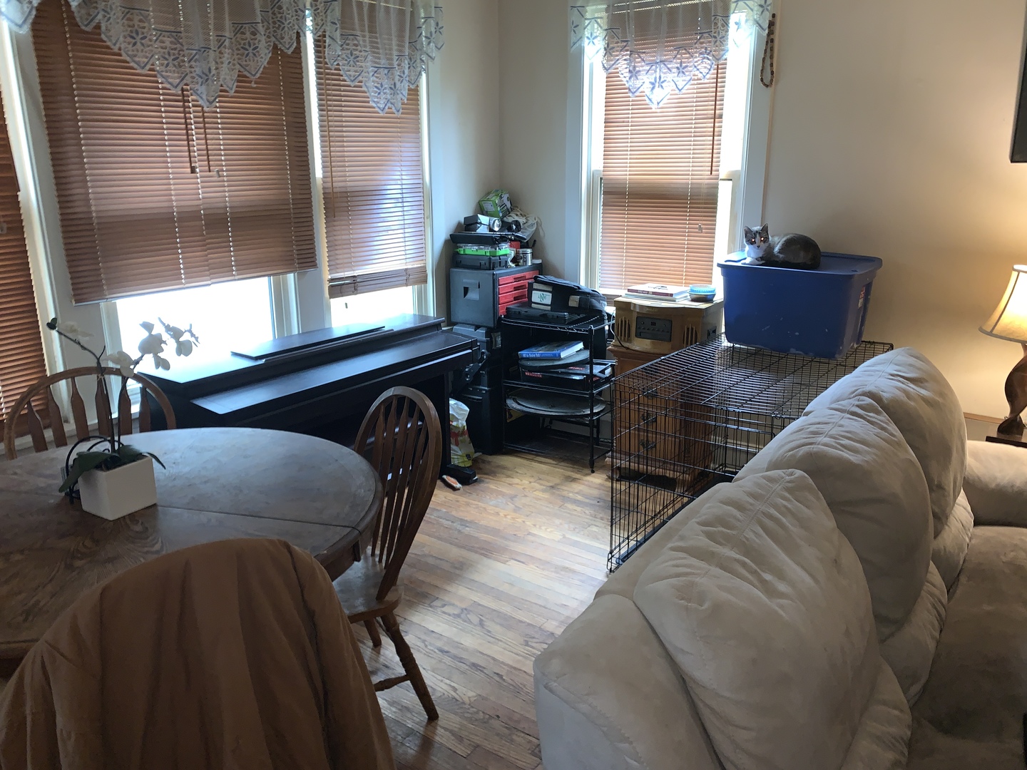 75 Pine Avenue Riverside, IL 60546 - Photo 4 of 11