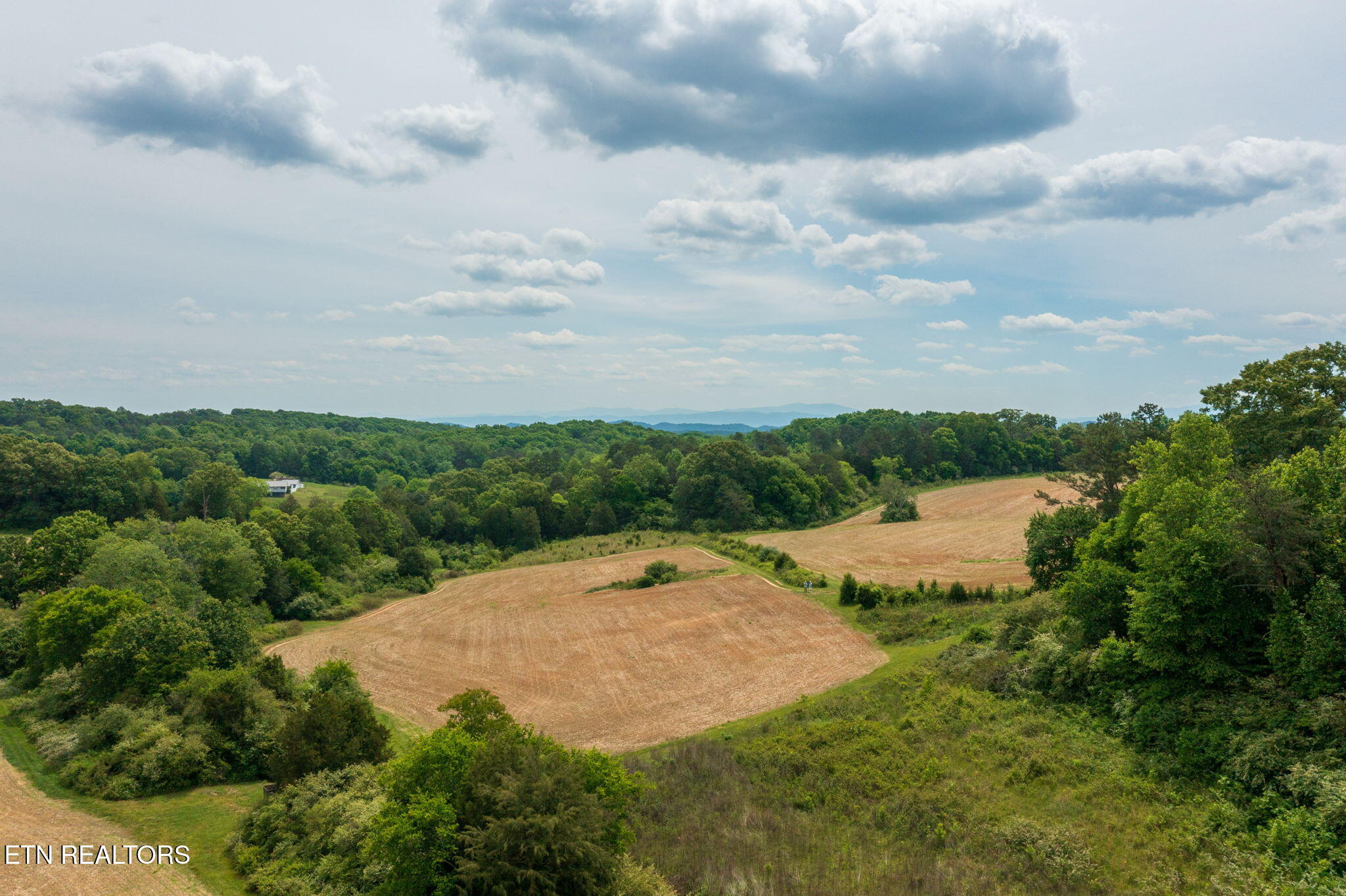 15370 Watson Road Loudon, TN 37774 - Photo 23 of 41 homesandvideos-232
