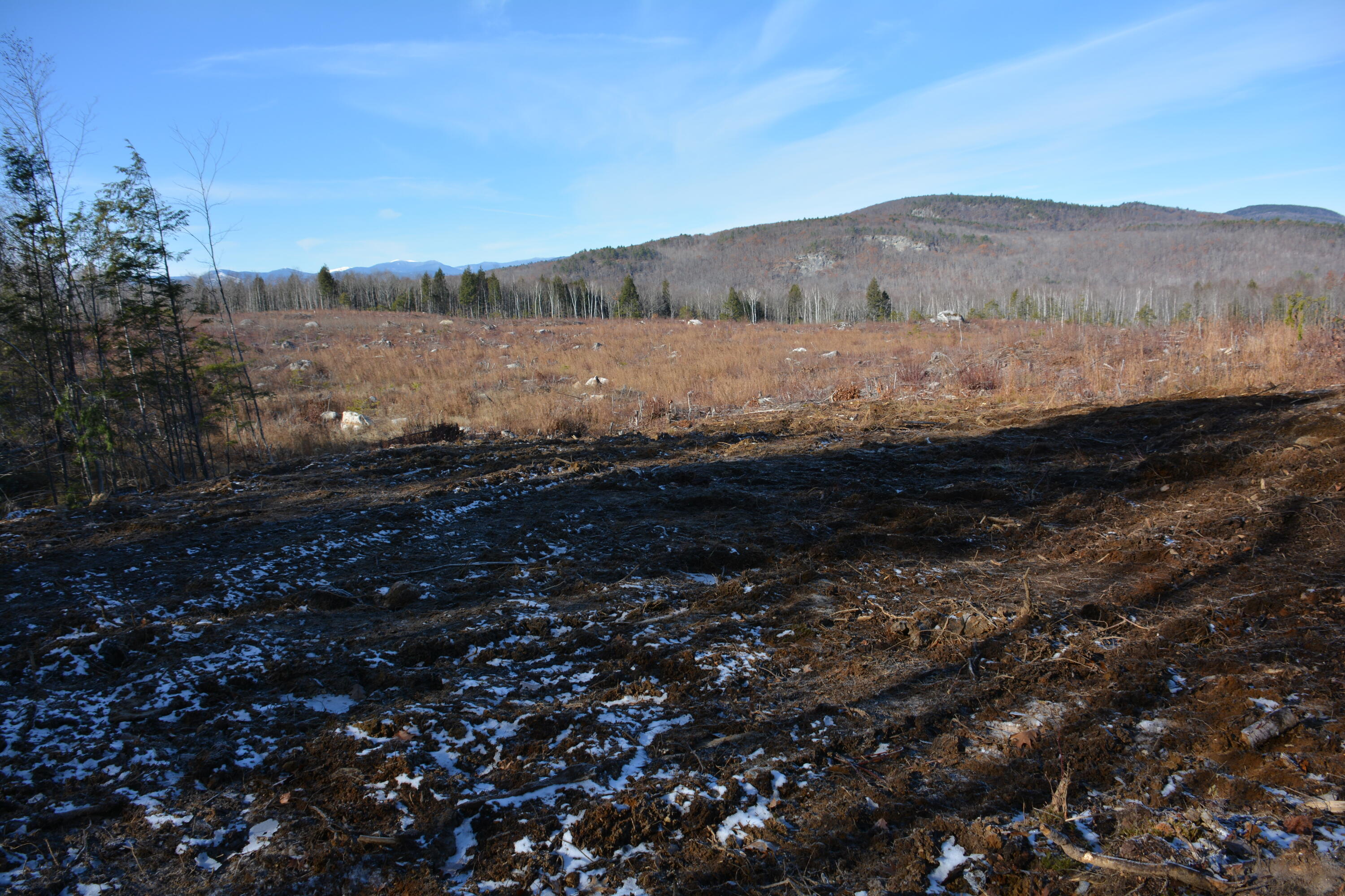 0 French Hill Road Bethel, ME 04217 - Photo 6 of 18 DSC_0171