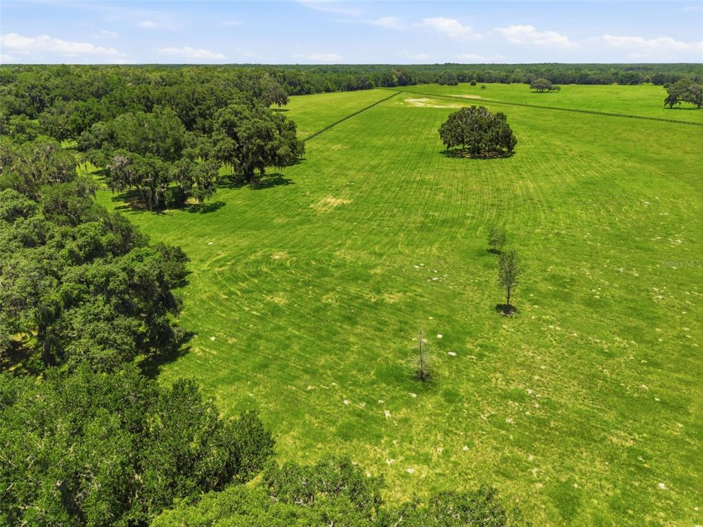 14 Southwest 138th Loop Dunnellon, FL 34432 - Photo 17 of 30 Gallery Image 17
