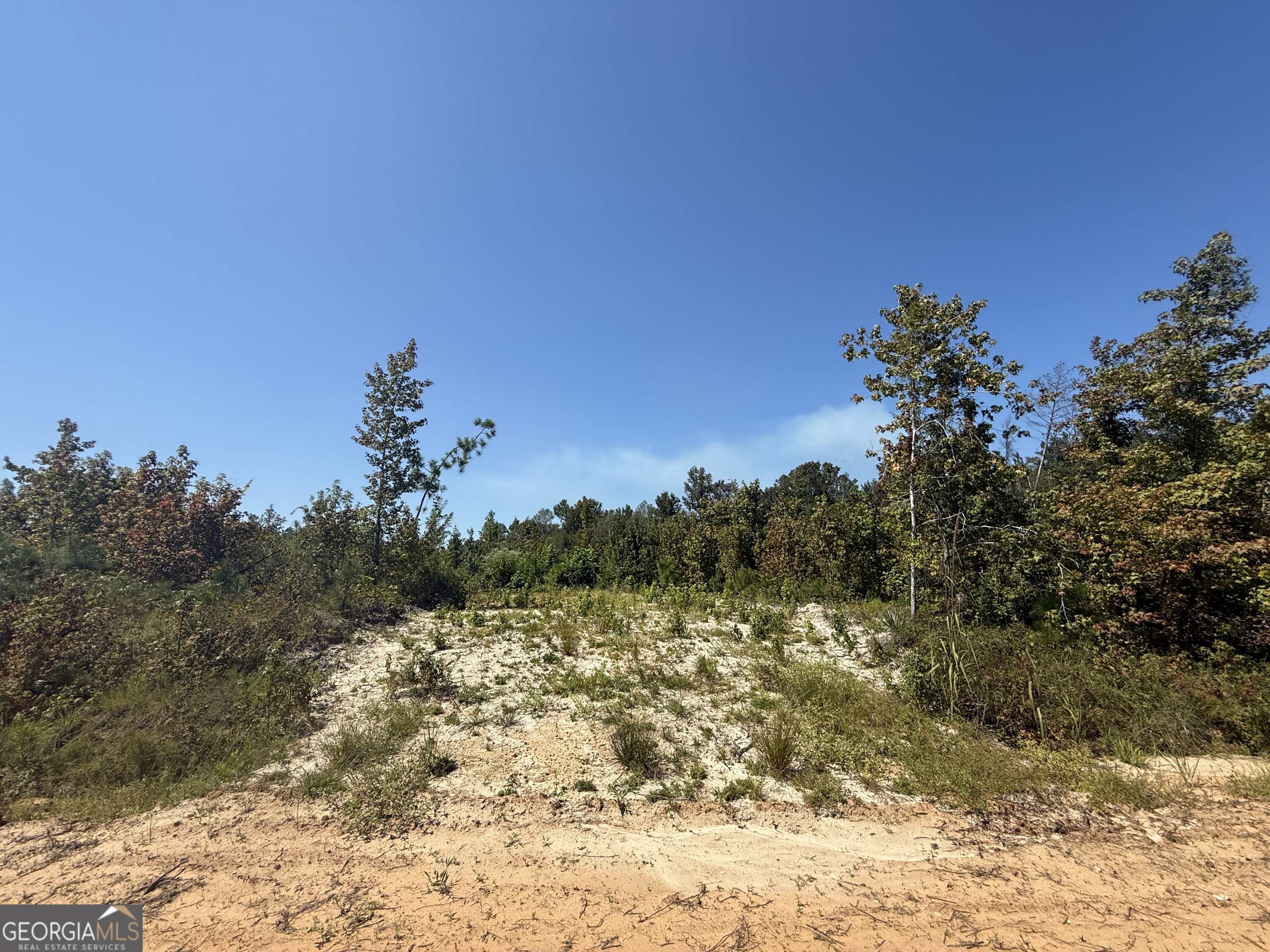 467 Alton Stewart Road East Dublin, GA 31027 - Photo 1 of 12