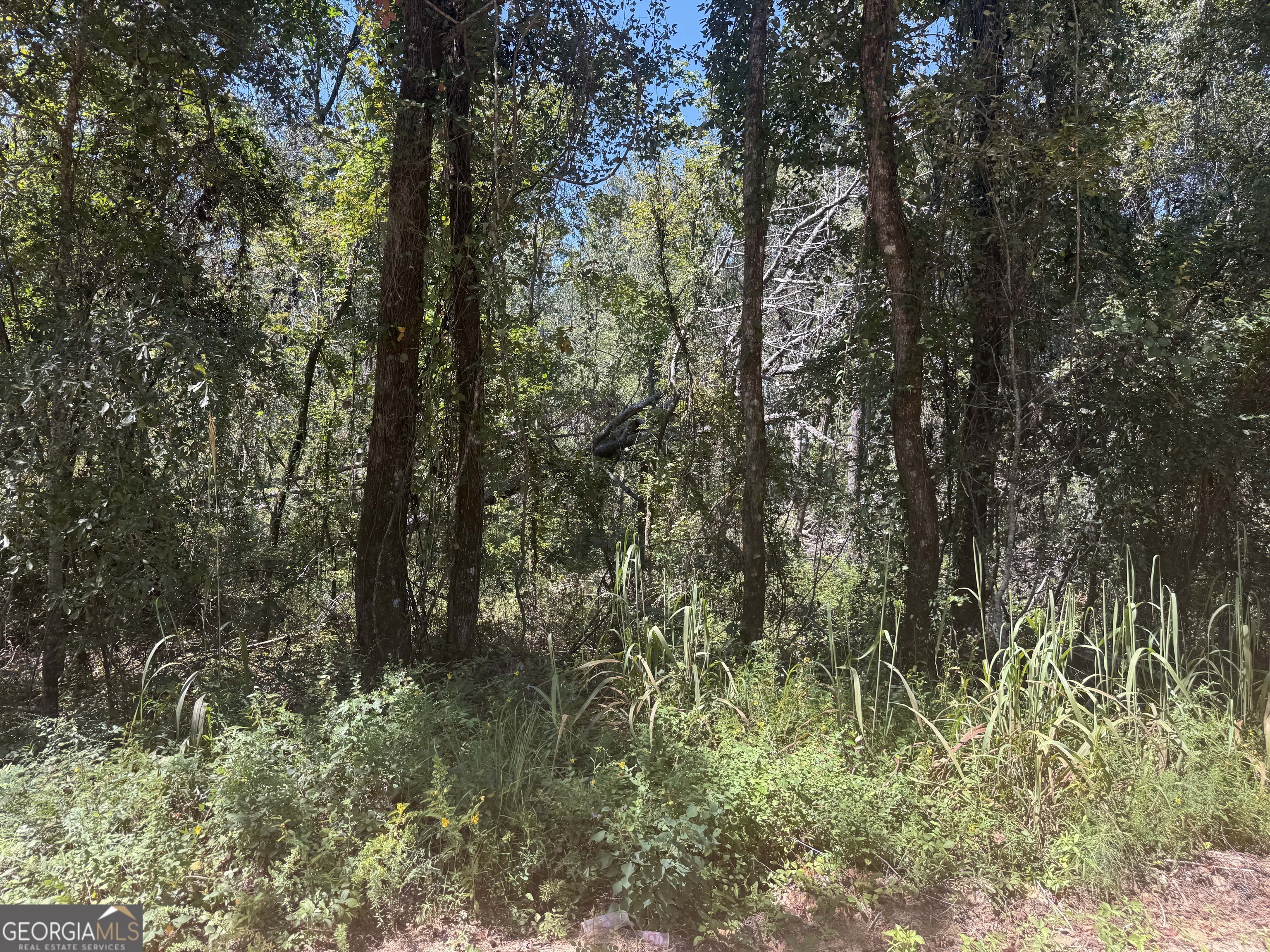 467 Alton Stewart Road East Dublin, GA 31027 - Photo 11 of 12