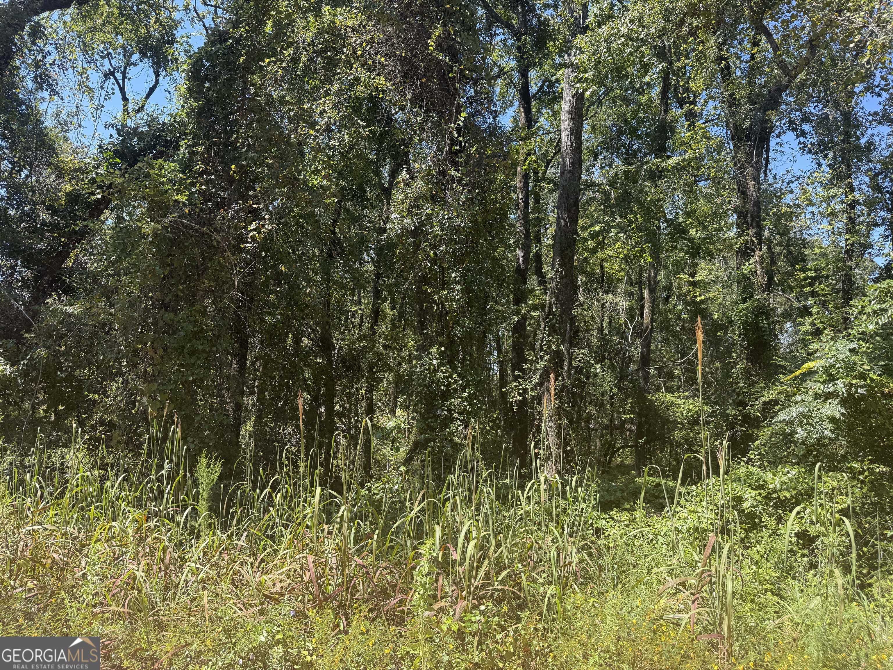 467 Alton Stewart Road East Dublin, GA 31027 - Photo 12 of 12