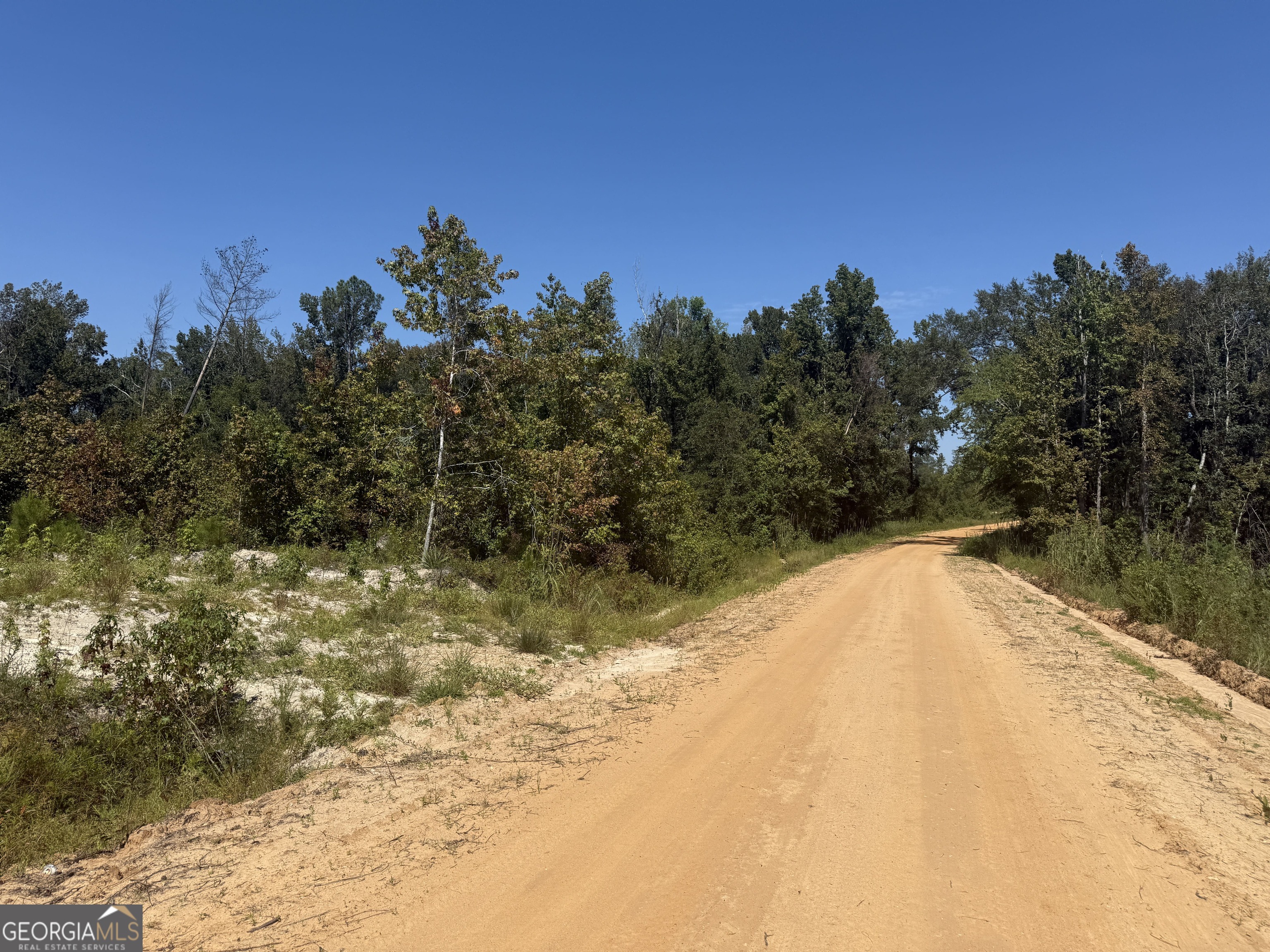 467 Alton Stewart Road East Dublin, GA 31027 - Photo 2 of 12